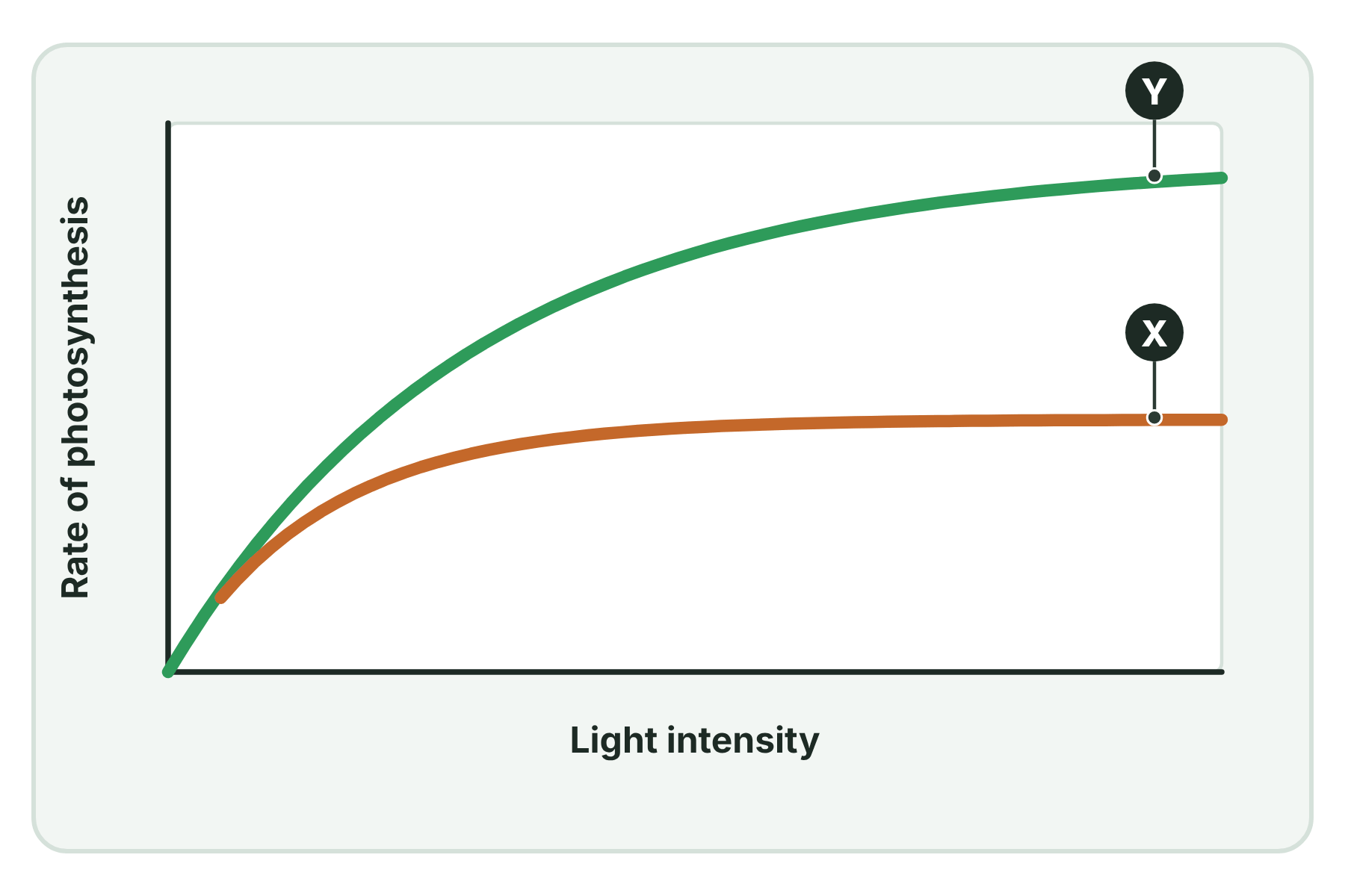 A graph with two curves of rate against light intensity that are the same at low light and differ at high light.