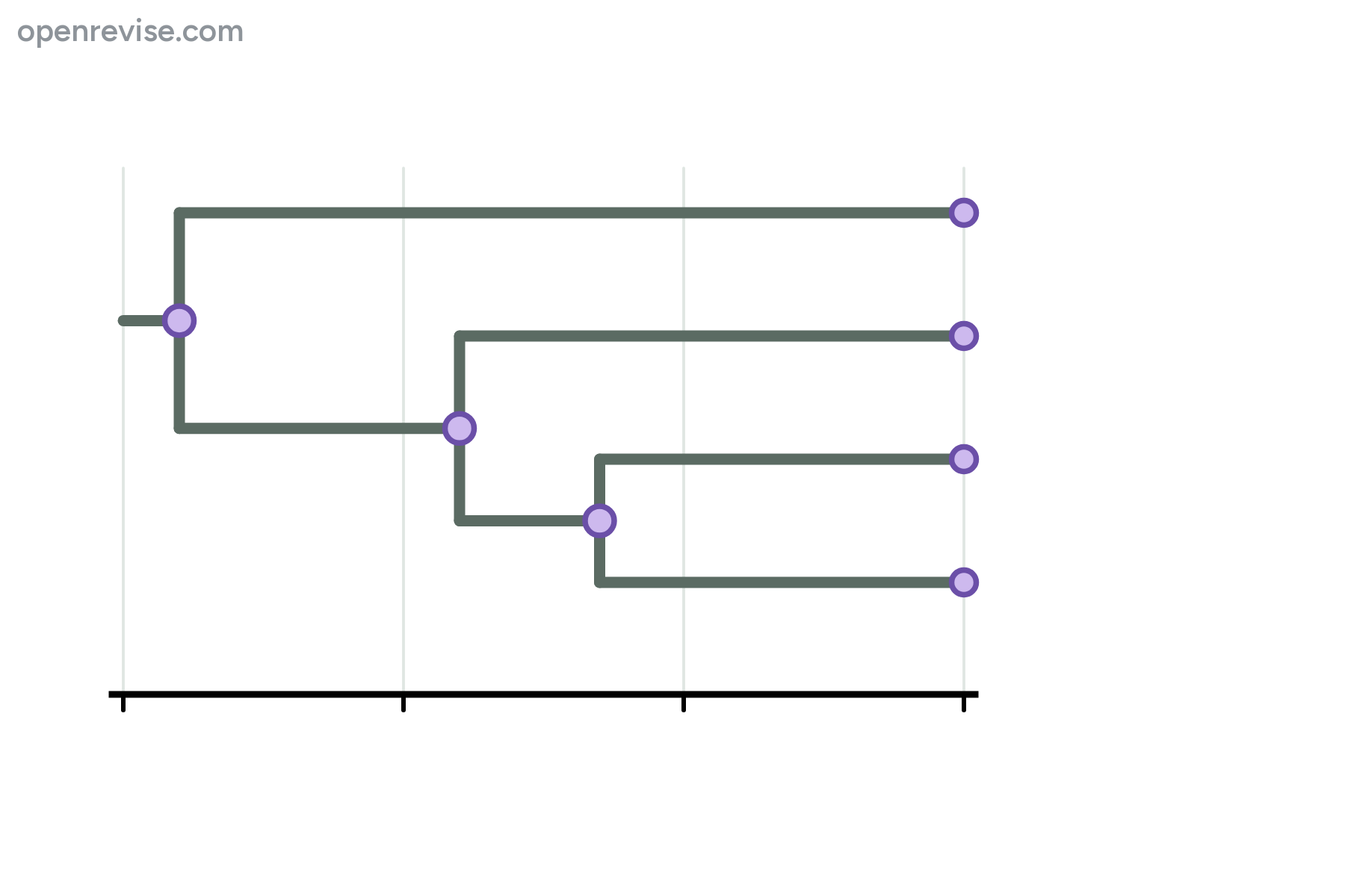 An evolutionary tree of four species with no labels.