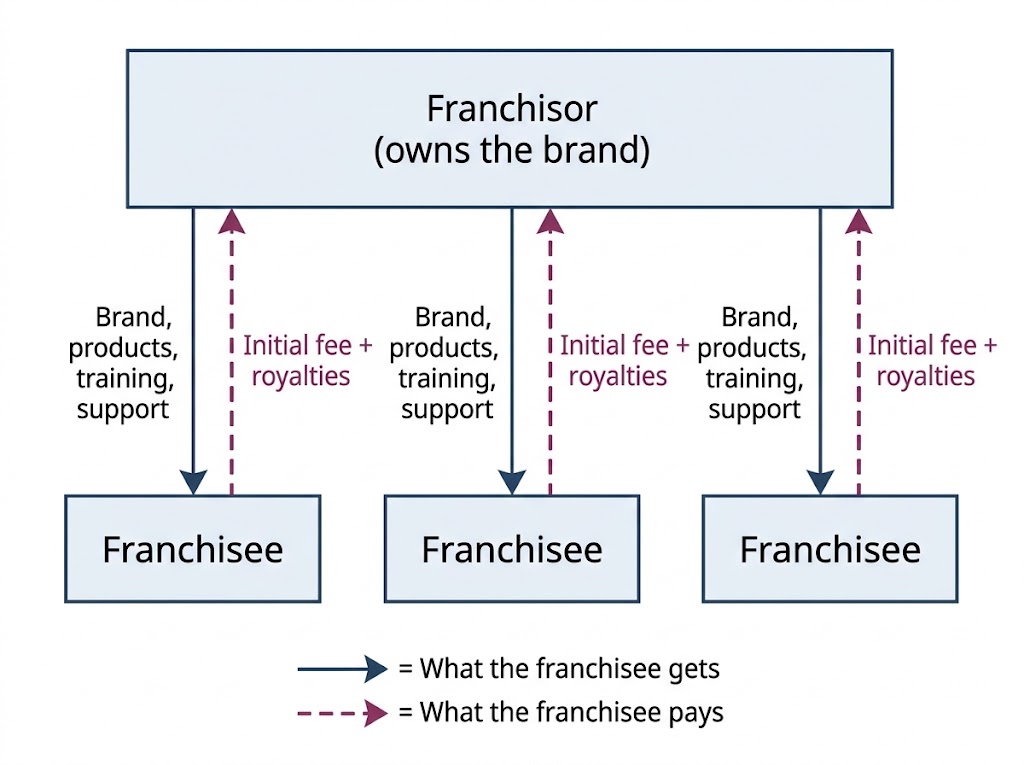 A diagram of one franchisor above three franchisees. Arrows down show brand, products, training and support; arrows up show the initial fee and royalties.