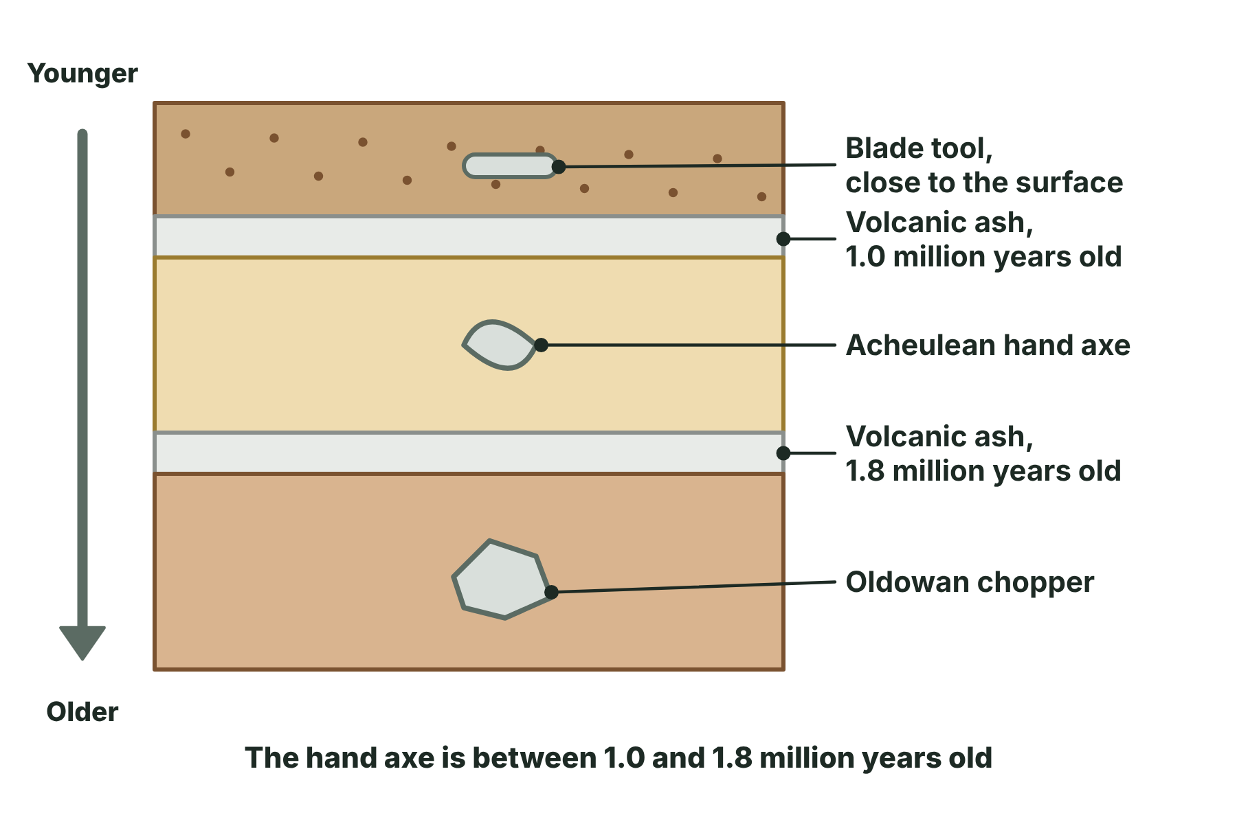 A cross-section of rock layers with a chopper in a deep layer, a hand axe between two layers of dated volcanic ash, and a blade near the surface.