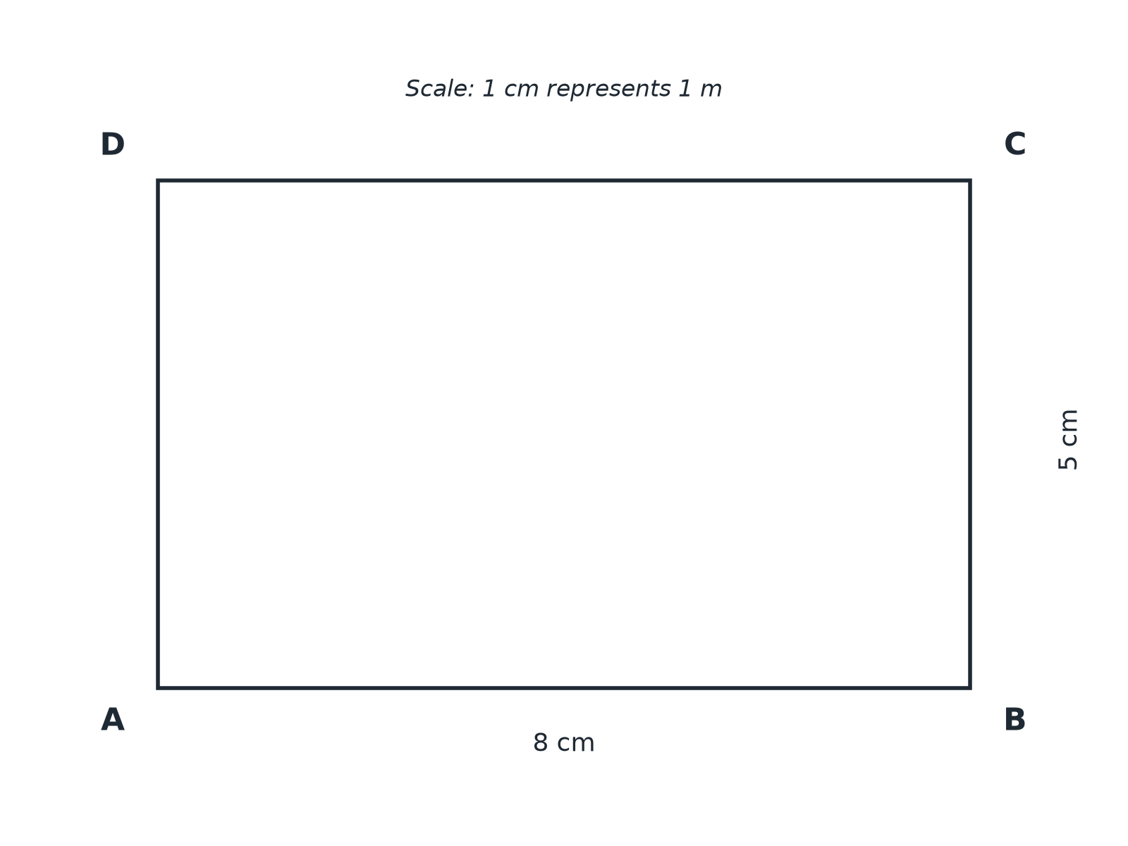 A rectangle ABCD, 8 cm by 5 cm, for a locus question.