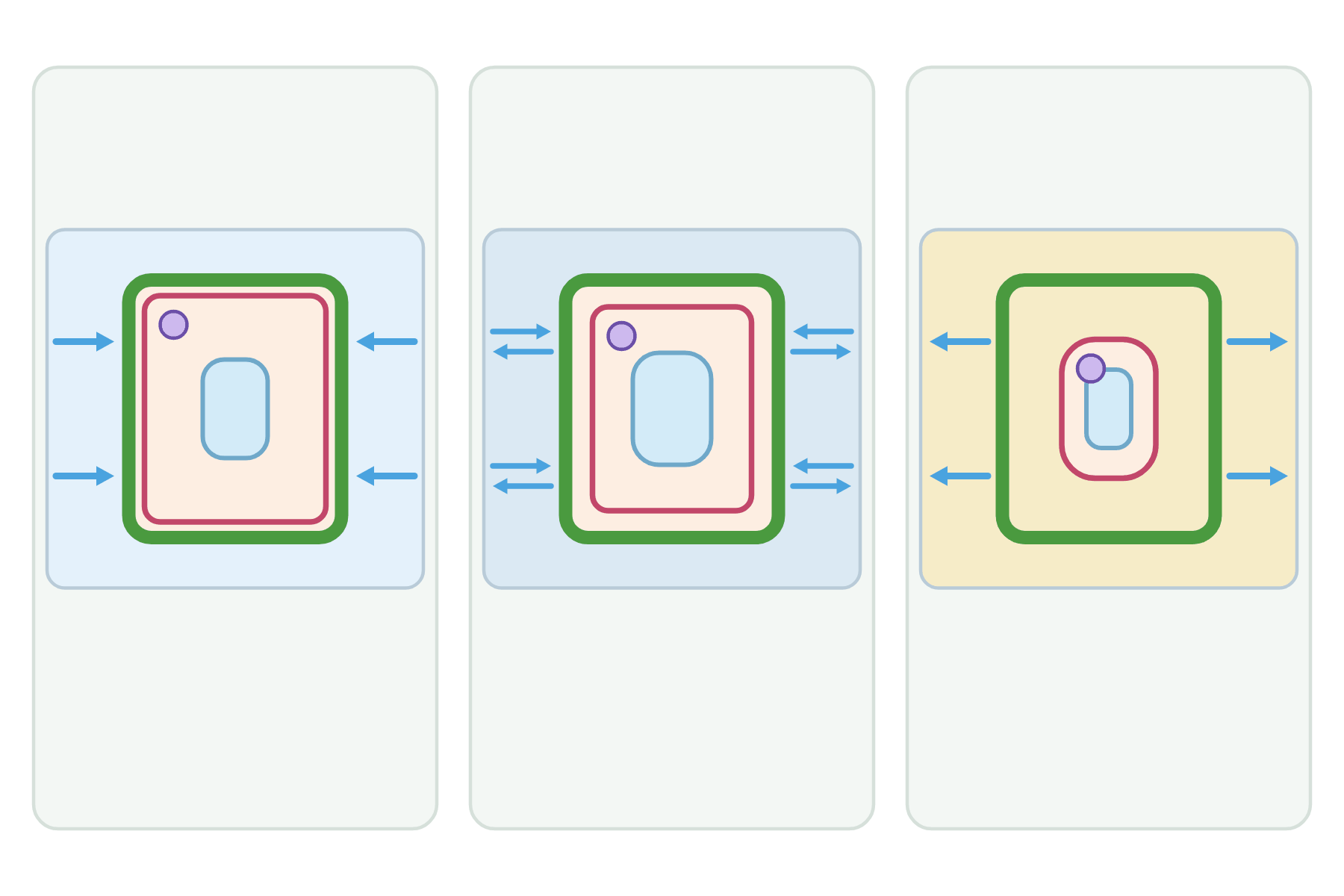 Three plant cells in different solutions with water arrows and no labels.