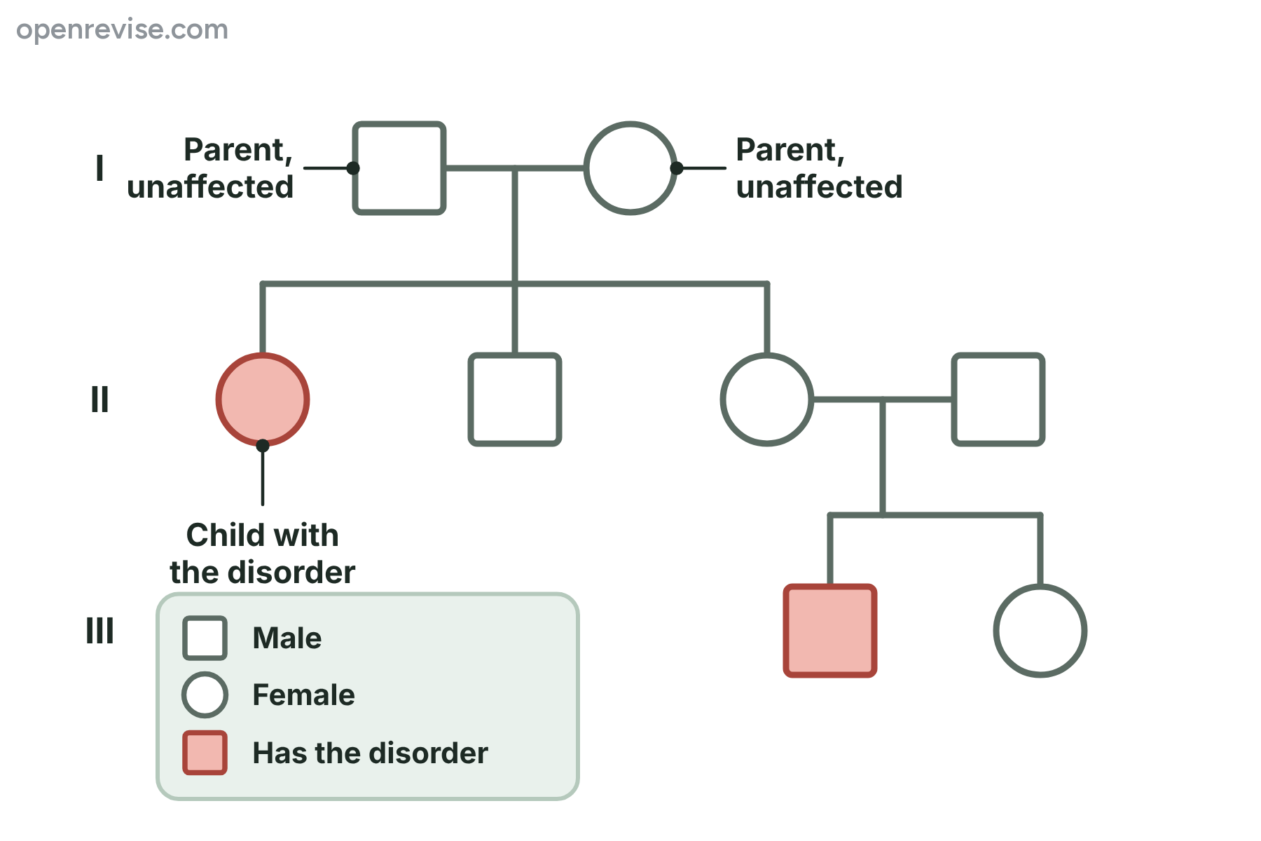 A family tree in which two unaffected parents have a daughter with a disorder and a grandson with the disorder.