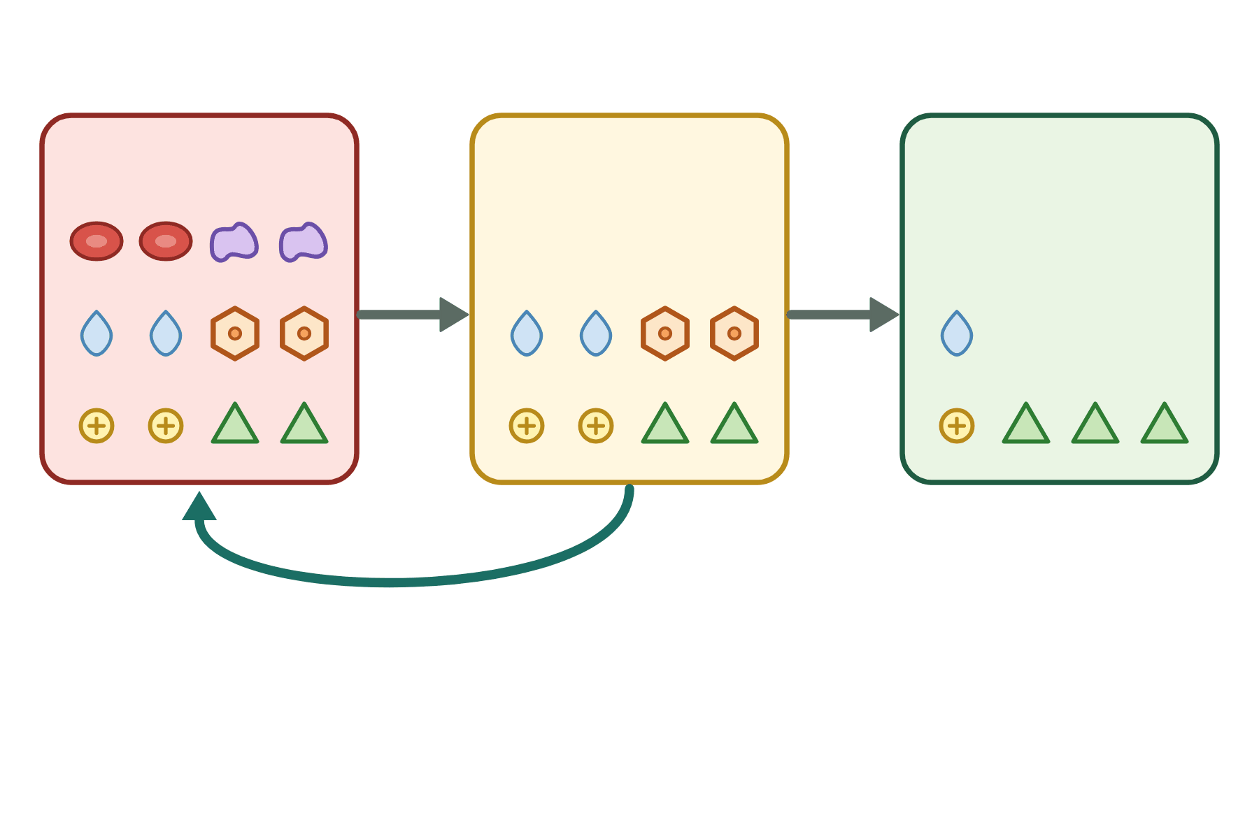 A diagram of the making of urine with no labels.