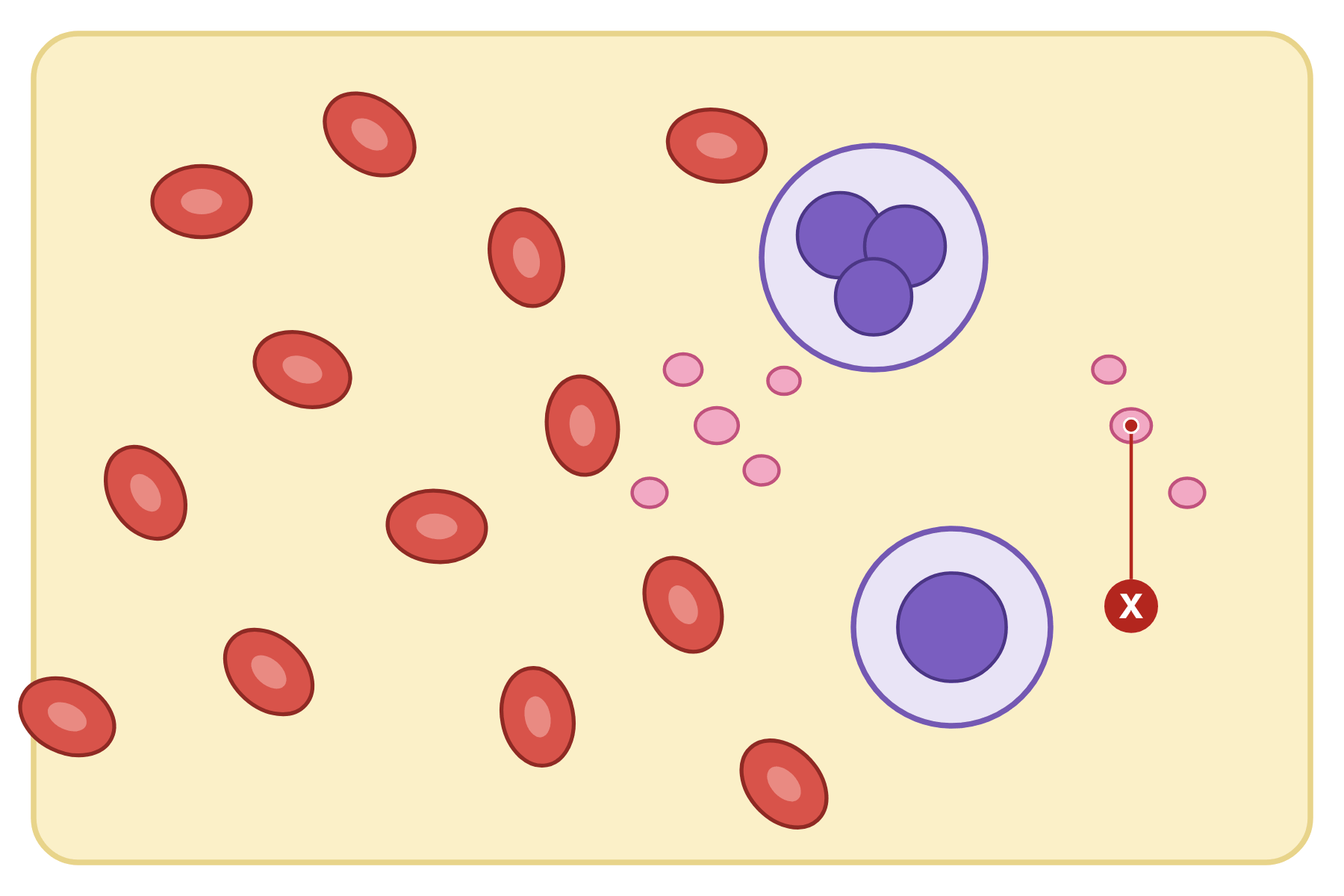 A drop of blood with a pointer marked X to a platelet.