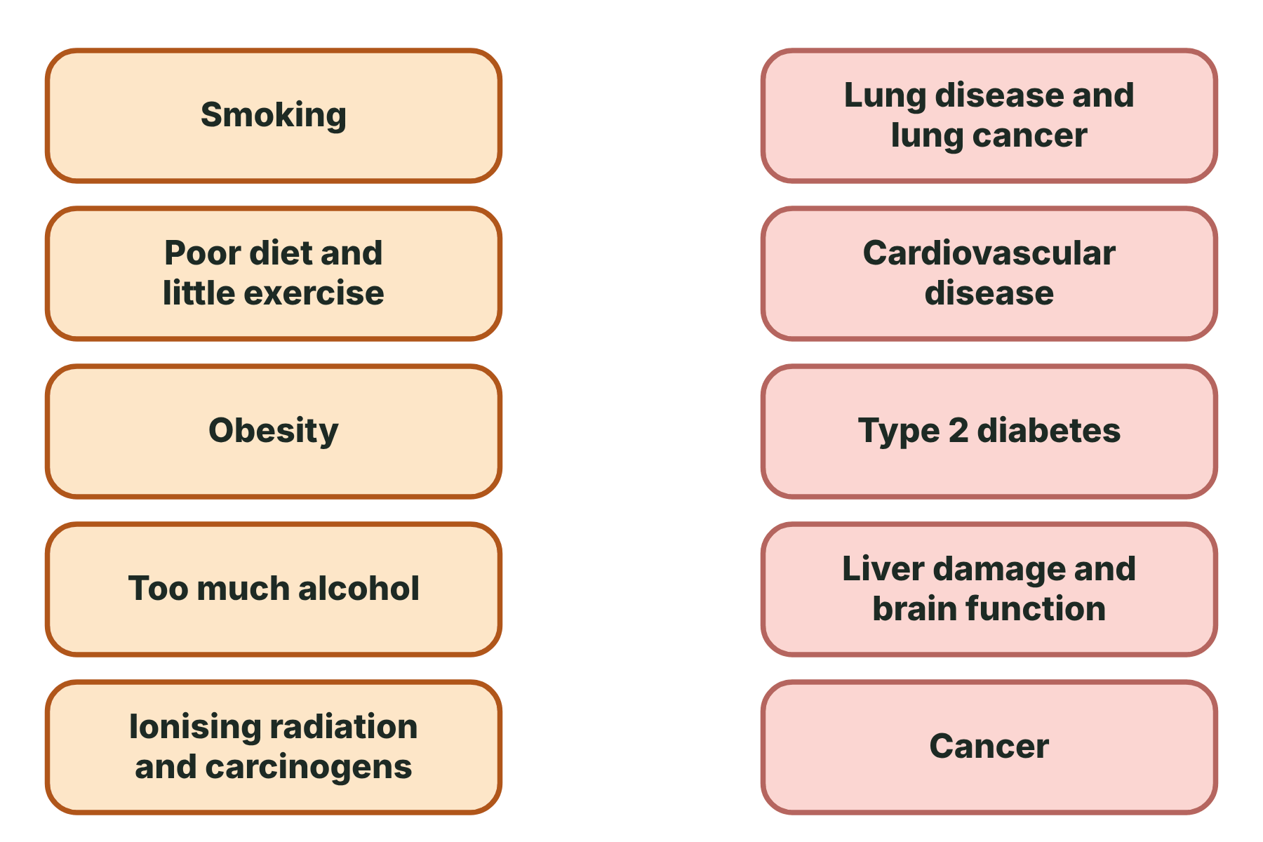 Risk factors in one column and diseases in another, with no arrows.