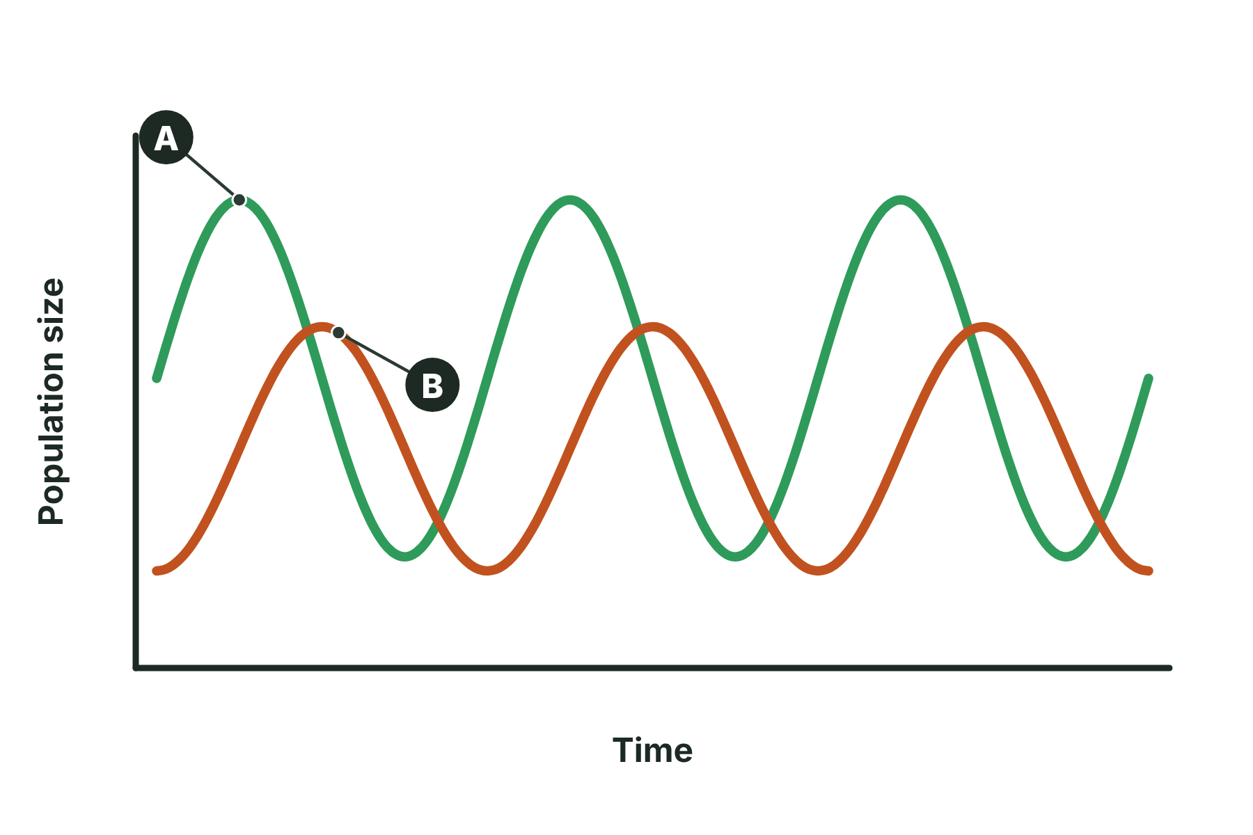 A predator-prey graph with two lines marked A and B.