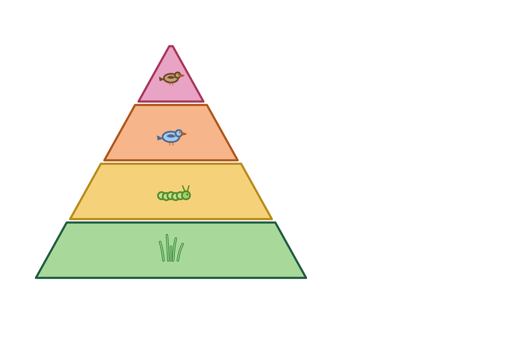 A pyramid of biomass with no labels.