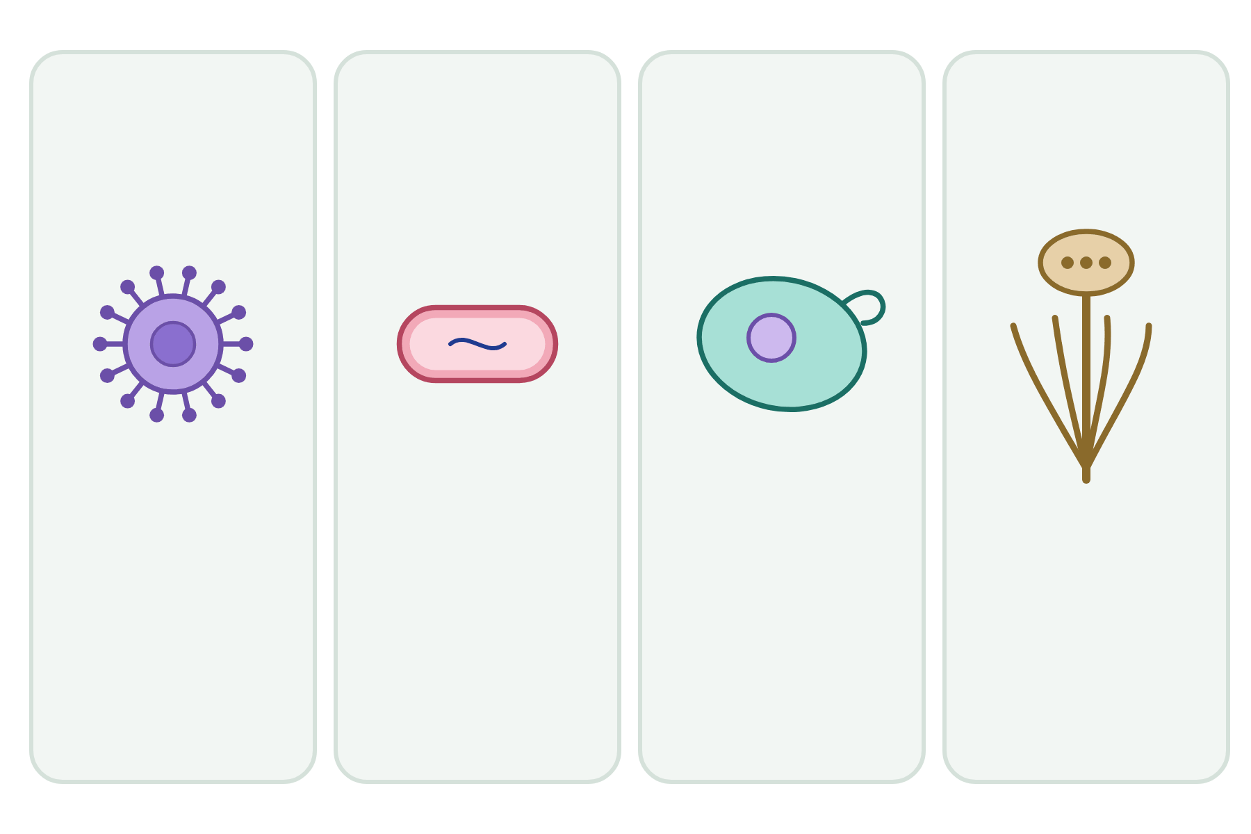Four panels with drawings of pathogens and no labels.
