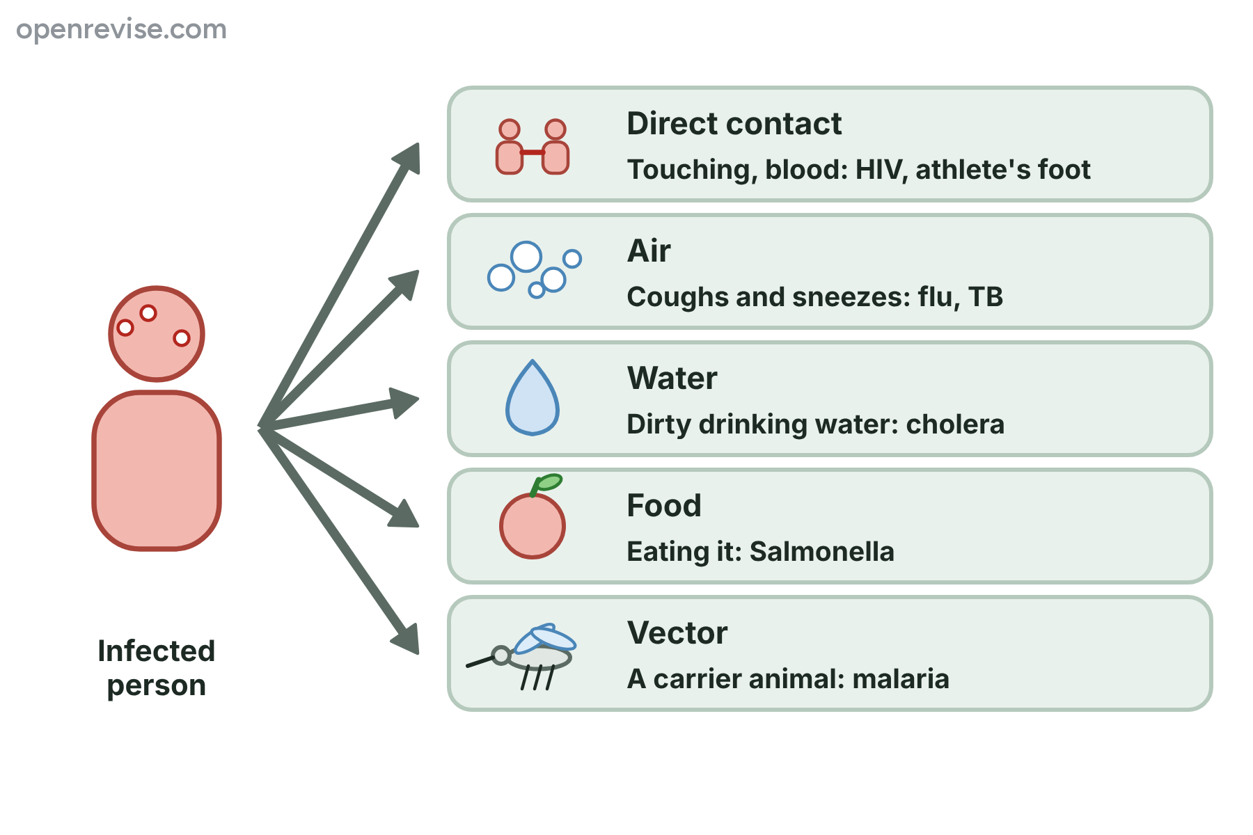 An infected person with five arrows to five routes of spread: direct contact, air, water, food and vectors, with an example of each.