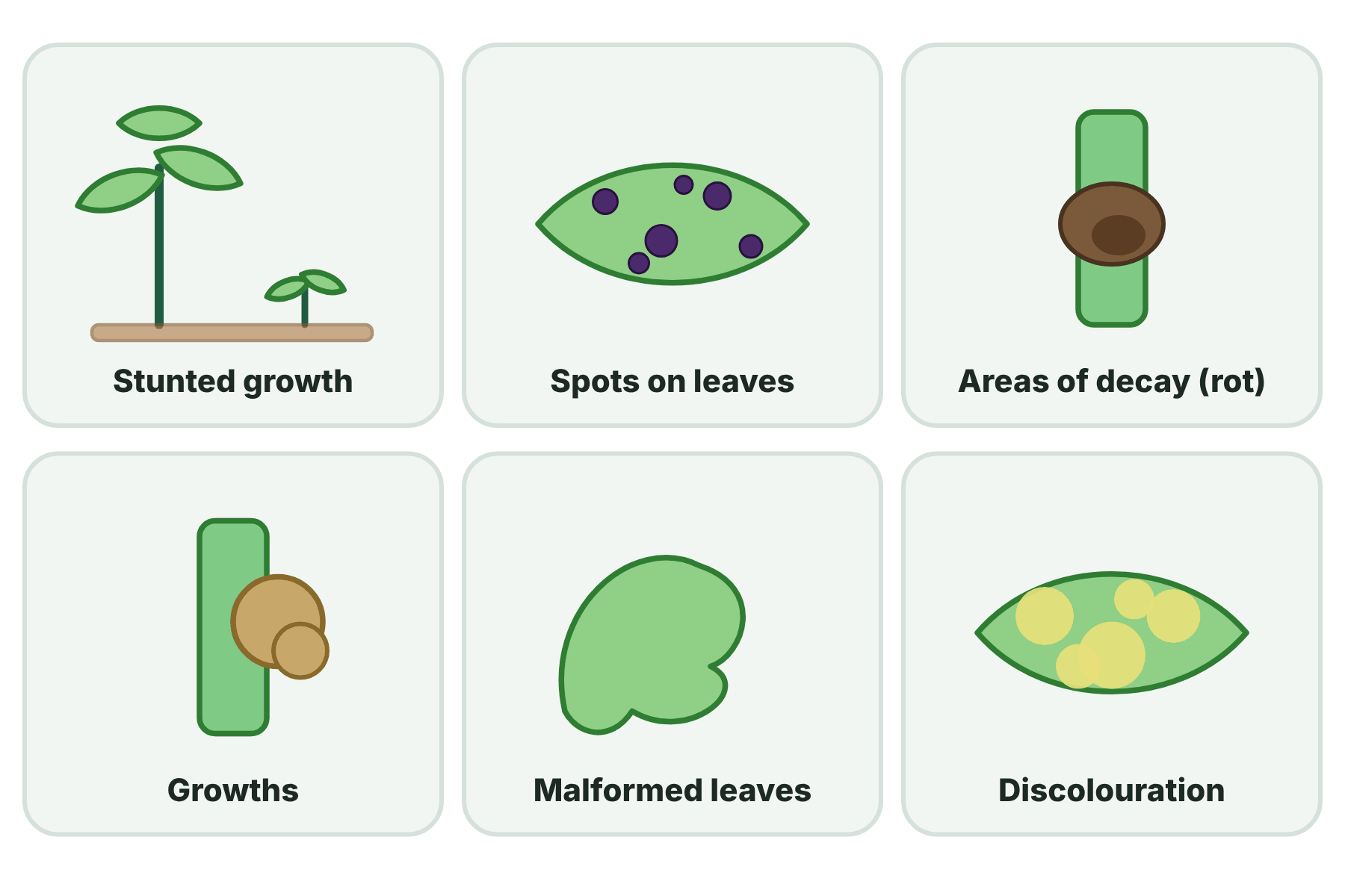 Six signs of plant disease: stunted growth, spots on leaves, rot, growths, malformed leaves and discolouration.