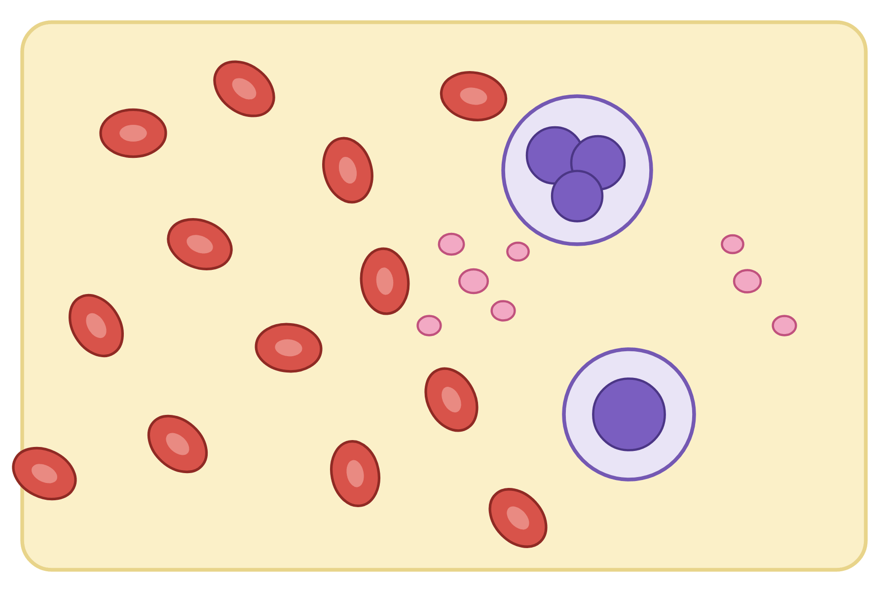 A drop of blood with no labels.