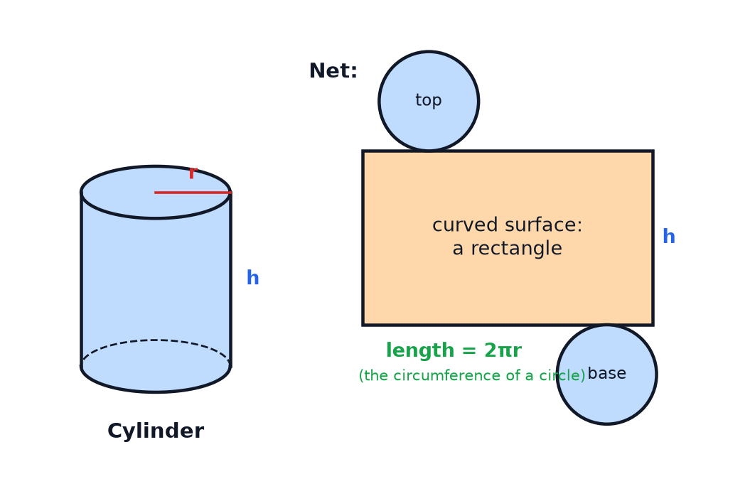 A cylinder and its net, made of a rectangle for the curved surface and two circles for the ends.
