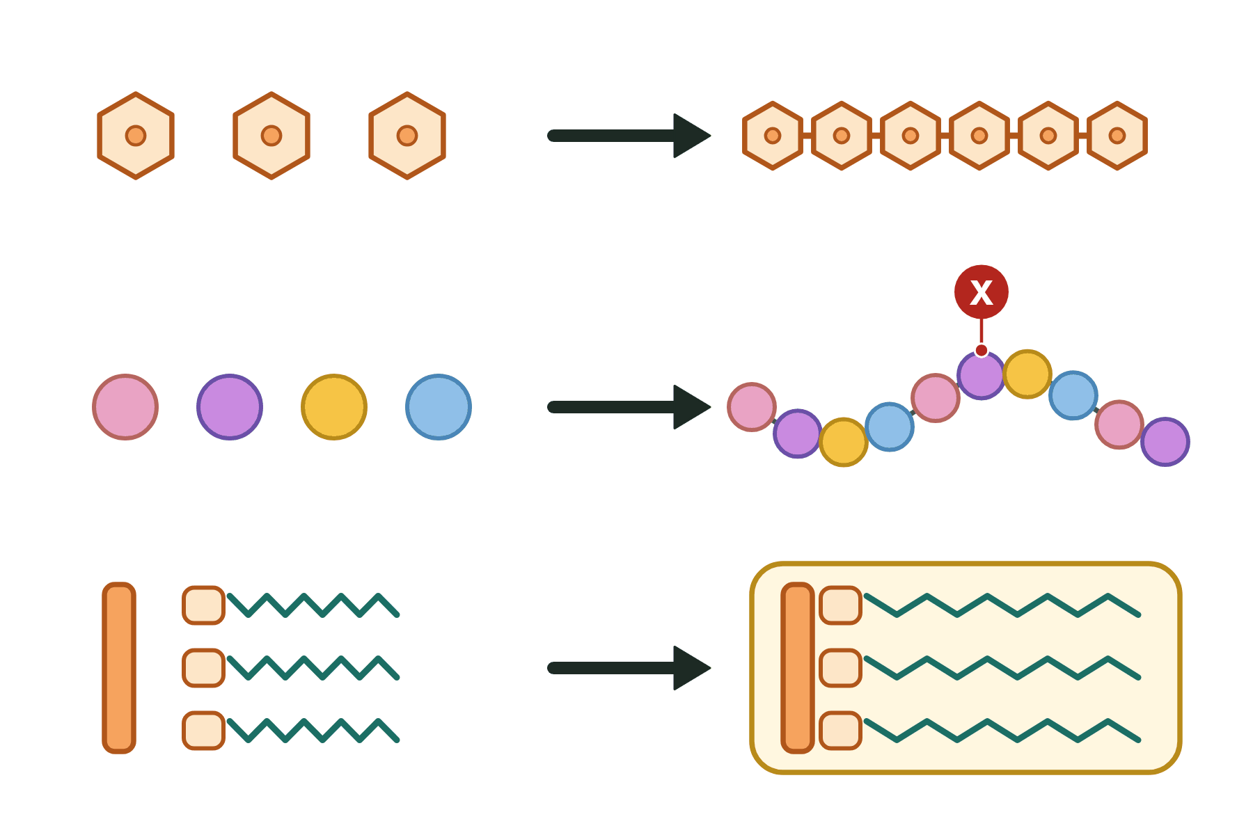Three rows of molecules joining, with a pointer marked X to the chain of beads.