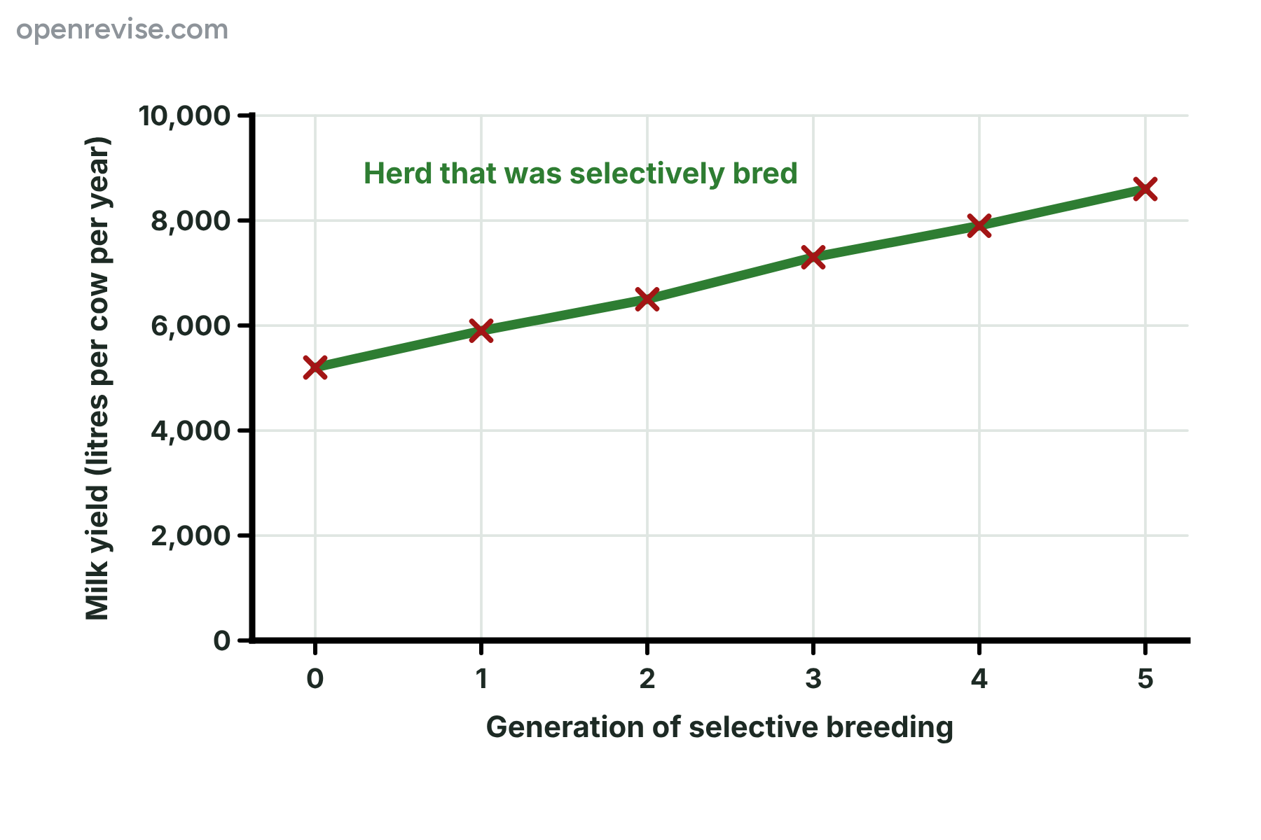 A line graph showing the mean milk yield of a herd rising from 5 200 litres to 8 600 litres per cow per year over five generations of selective breeding.