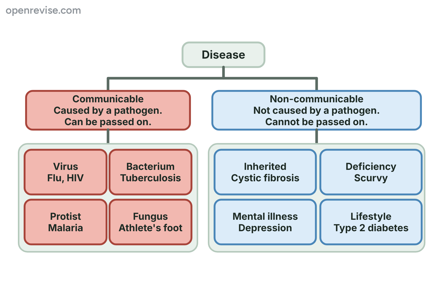 A tree diagram splitting disease into communicable and non-communicable diseases, with four examples under each.