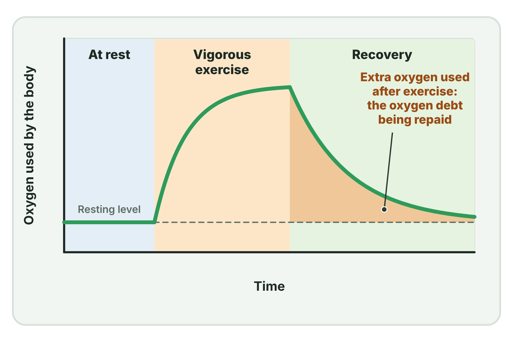 A graph of oxygen used against time, with the extra oxygen used after exercise shaded as the oxygen debt.