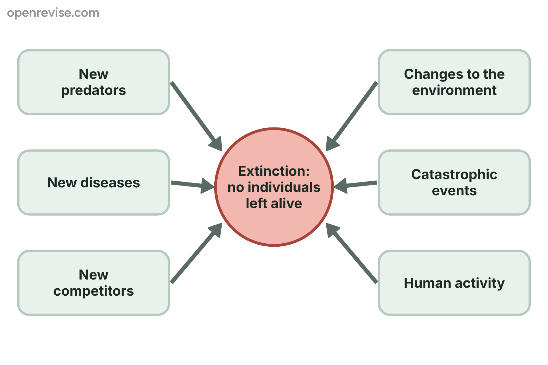 Six factors, each with an arrow pointing to extinction: new predators, new diseases, new competitors, changes to the environment, catastrophic events and human activity.