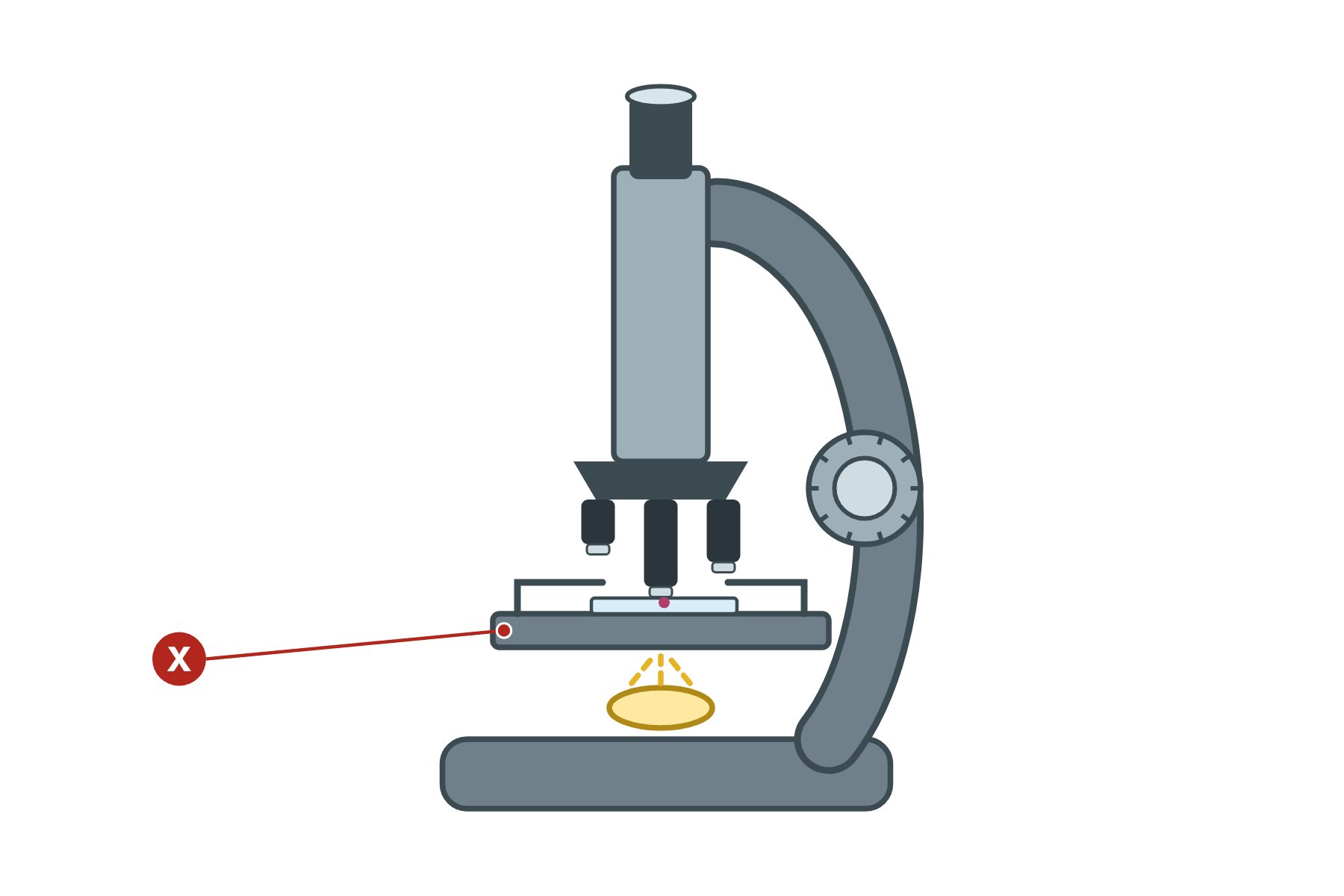 A light microscope with a pointer marked X to the stage.