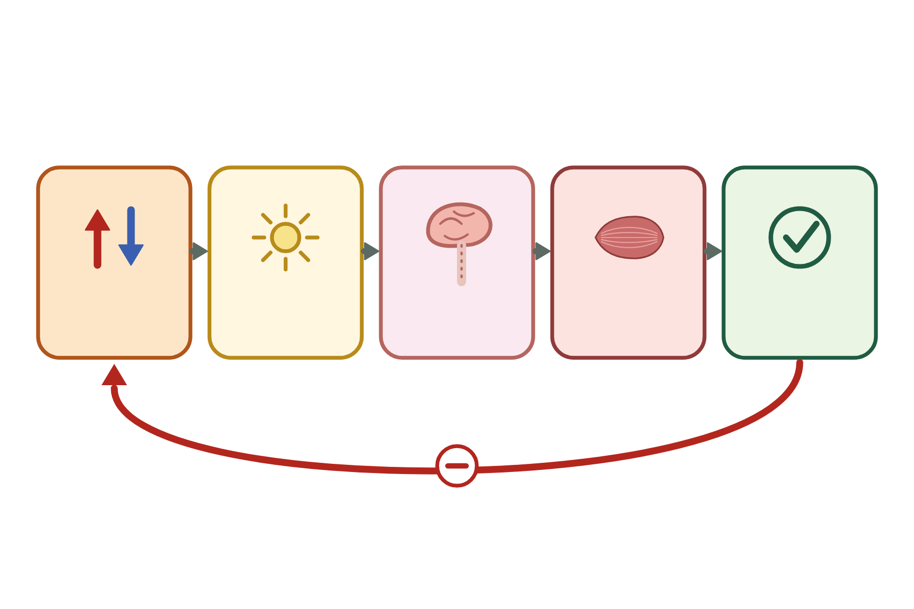 A negative feedback loop with no labels.