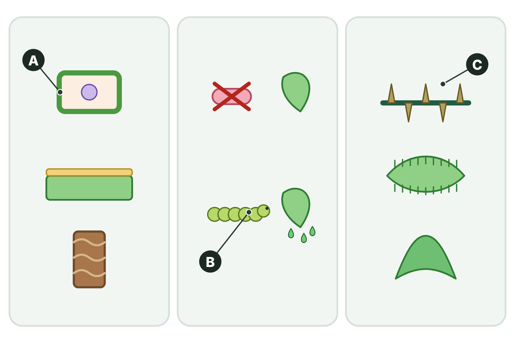 Three panels of plant defences with parts marked A, B and C.