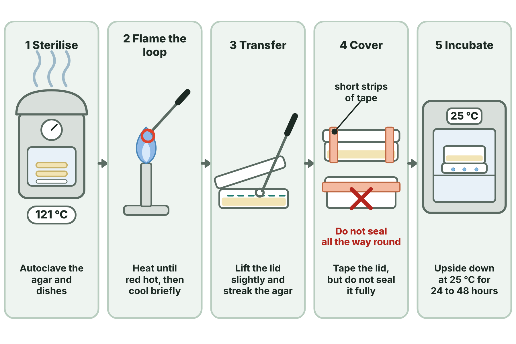 Five steps of aseptic technique: sterilise in an autoclave, flame the inoculating loop, transfer the microorganisms, tape the lid, and incubate upside down at 25 degrees Celsius.