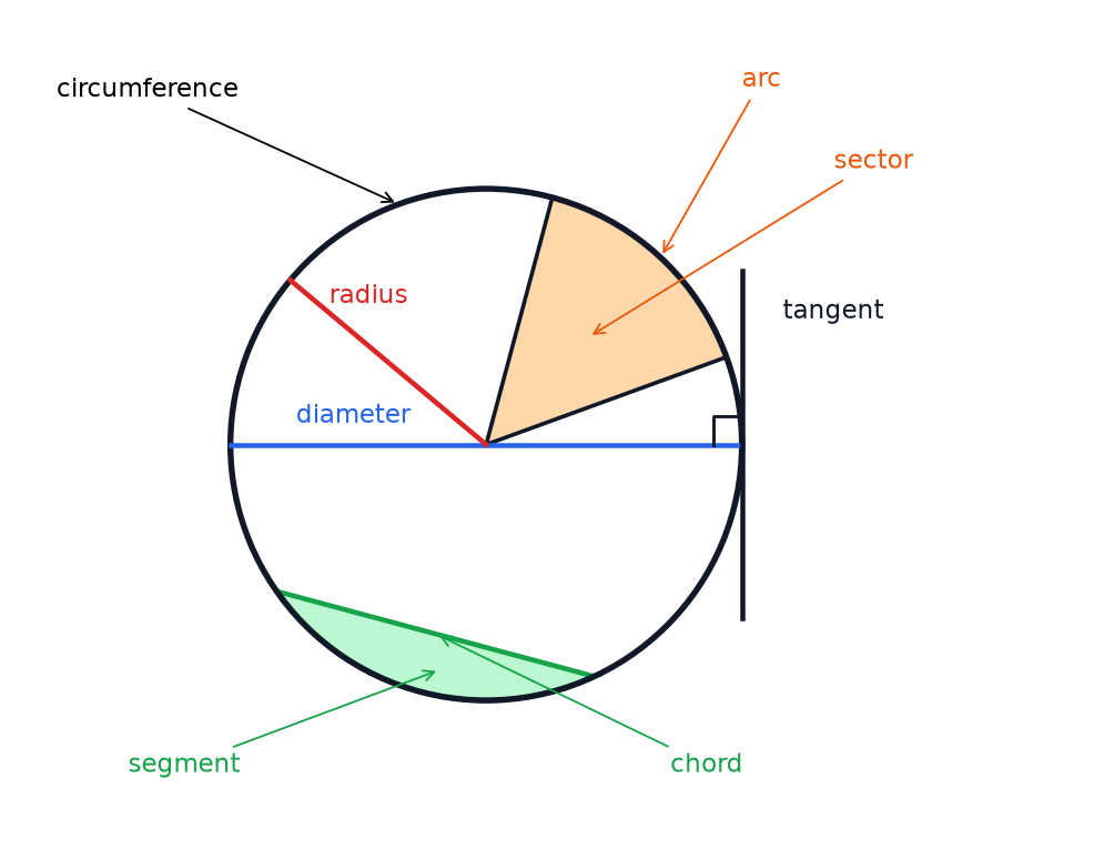 A circle with the diameter, radius, tangent, sector, arc, segment, chord and circumference labelled.