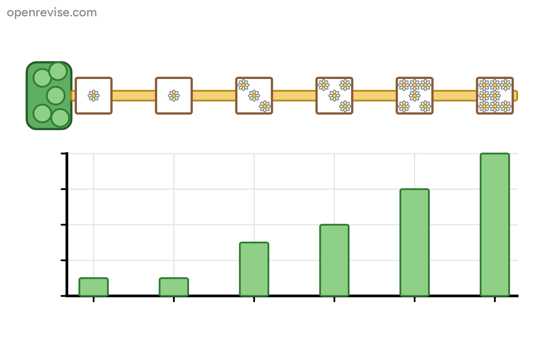 A transect with six quadrats and a bar chart of daisy counts, with no labels.
