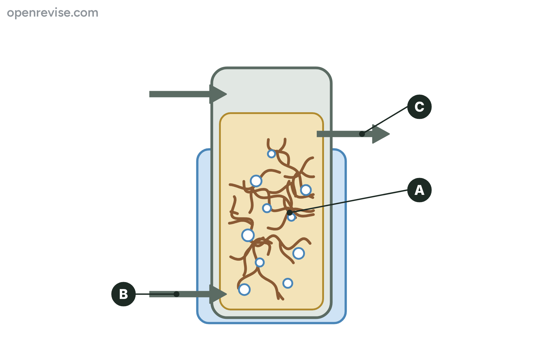 A fermenter with the fungus, the air inlet and the outlet marked A, B and C.
