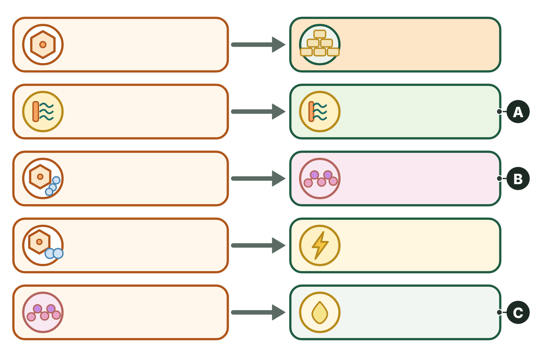 Five metabolism reactions with three products marked A, B and C.