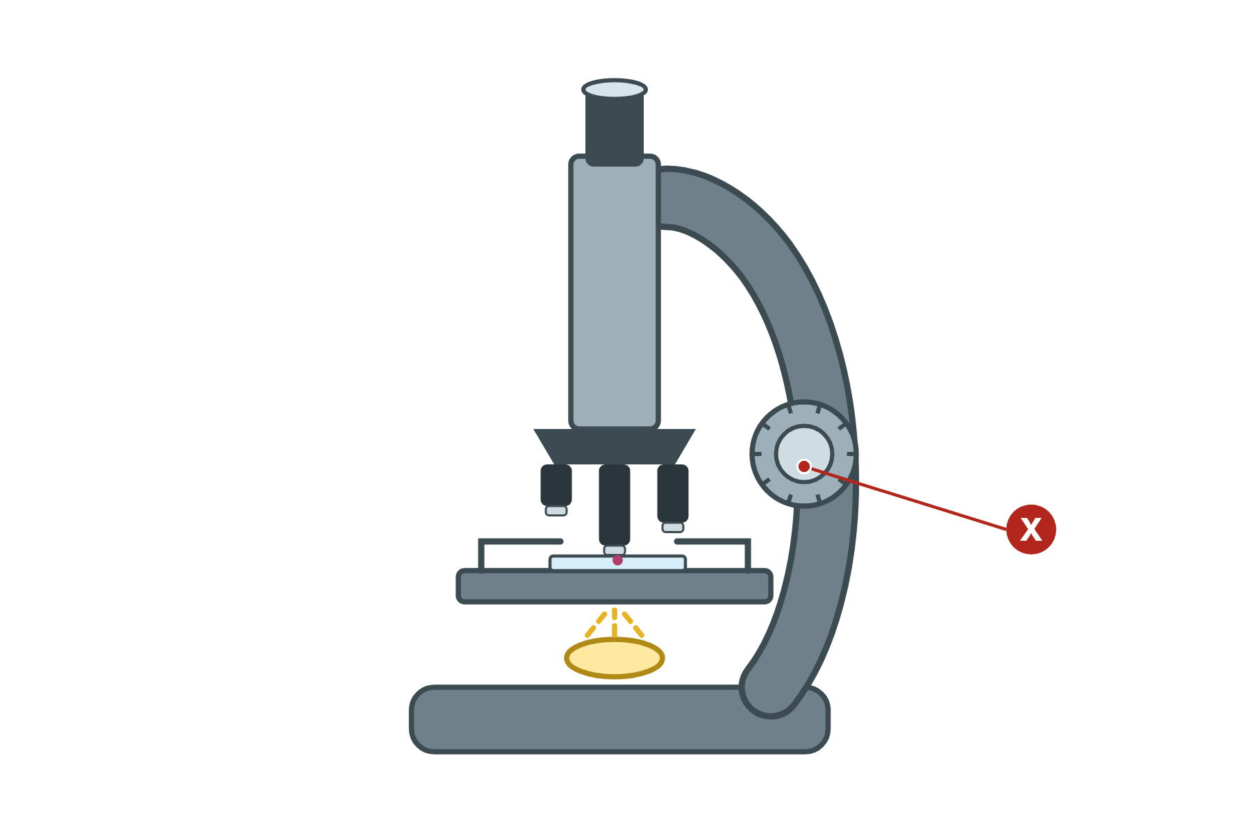 A light microscope with a pointer marked X to the fine focus wheel.