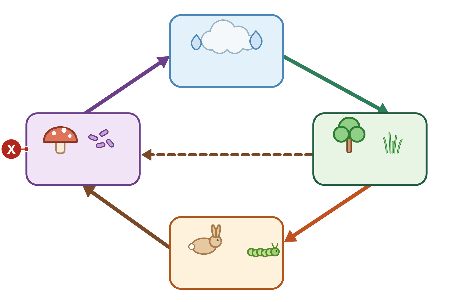 A materials cycle with a pointer marked X to the decomposers.