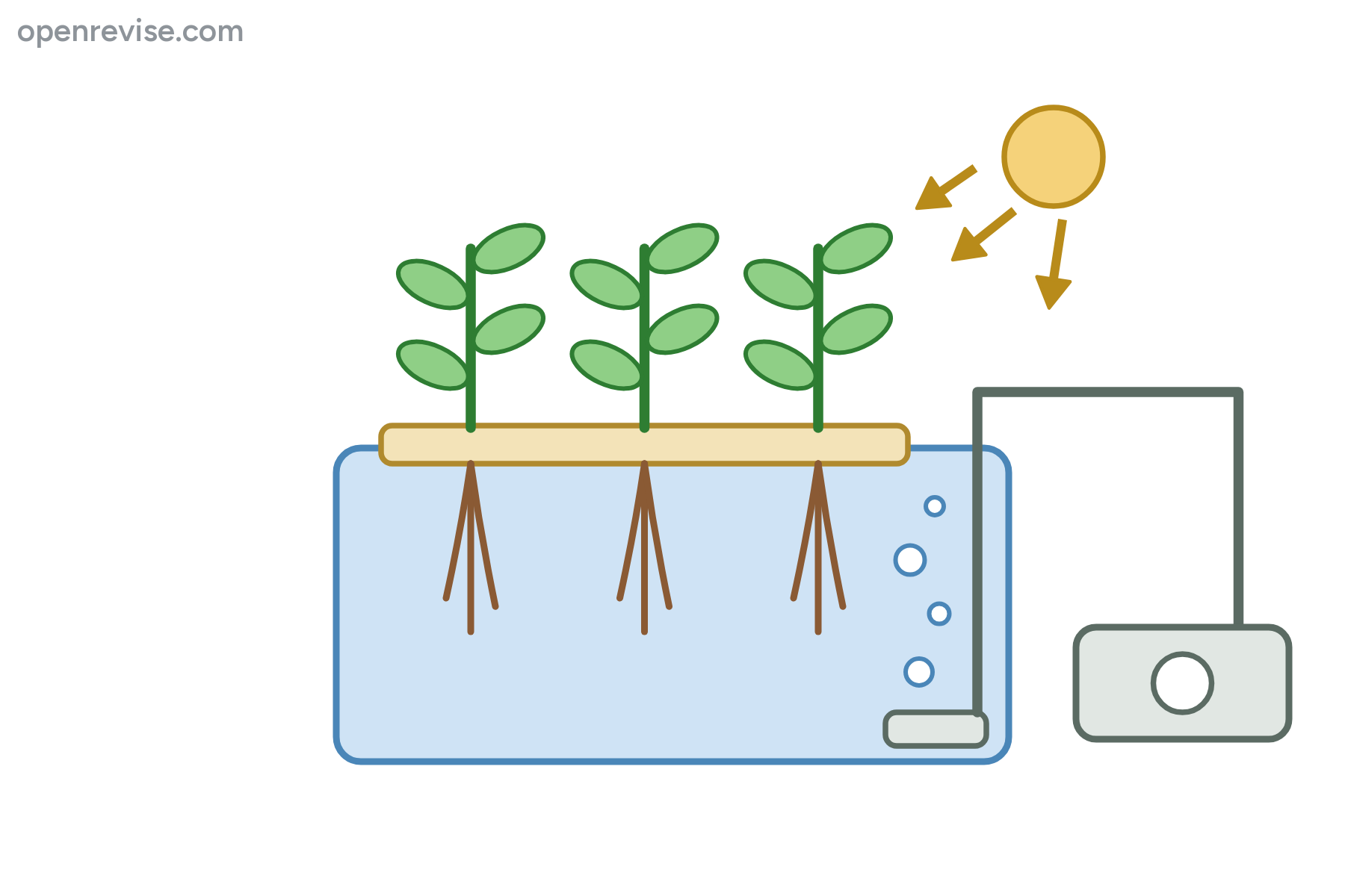 A hydroponics tank with plants, roots, bubbles, a pump and light, with no labels.