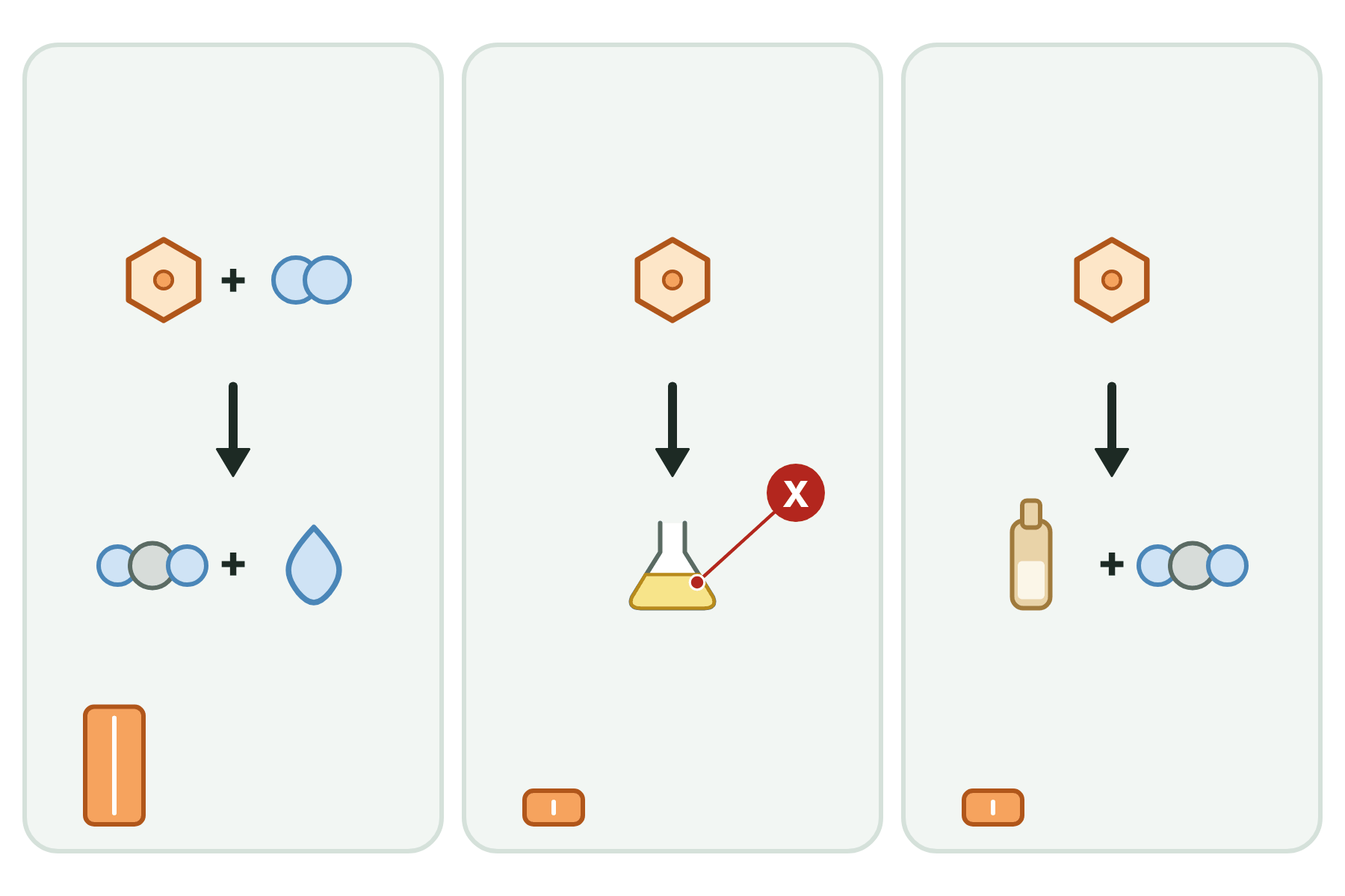 Three respiration equations drawn with icons and a pointer marked X to lactic acid.