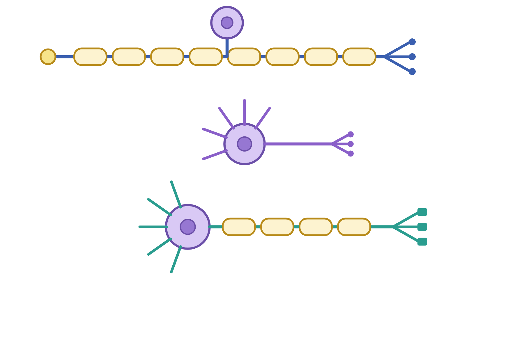 Three neurones with no labels.