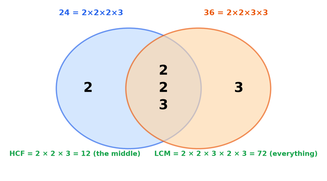 A Venn diagram placing the prime factors of 24 and 36 in two overlapping circles to show the HCF and LCM.