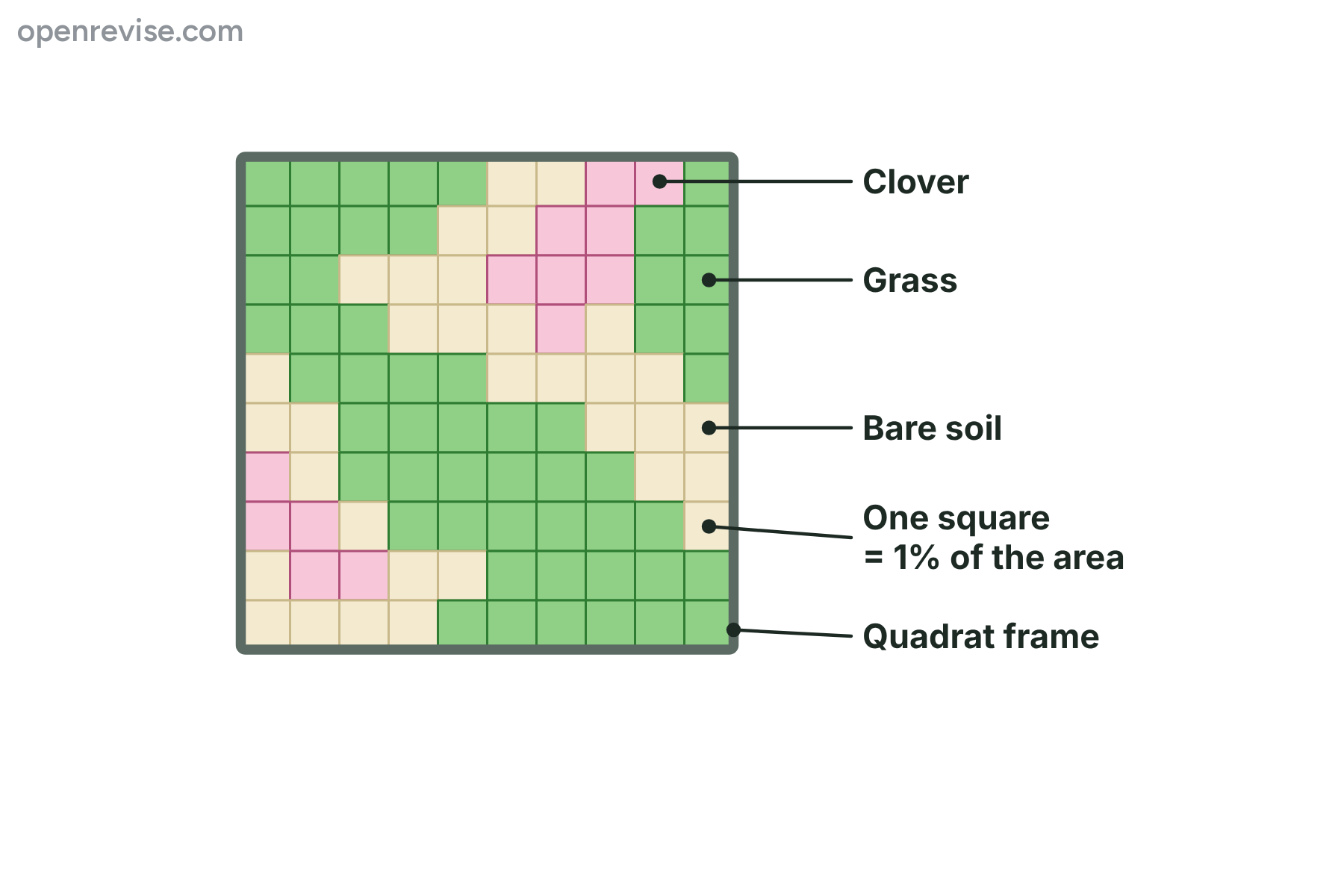 A quadrat divided into 100 squares, most of them green for grass, some pink for clover and some cream for bare soil.