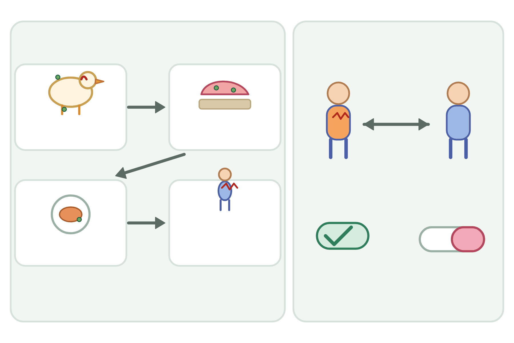 Two panels with drawings of salmonella and gonorrhoea routes and no labels.