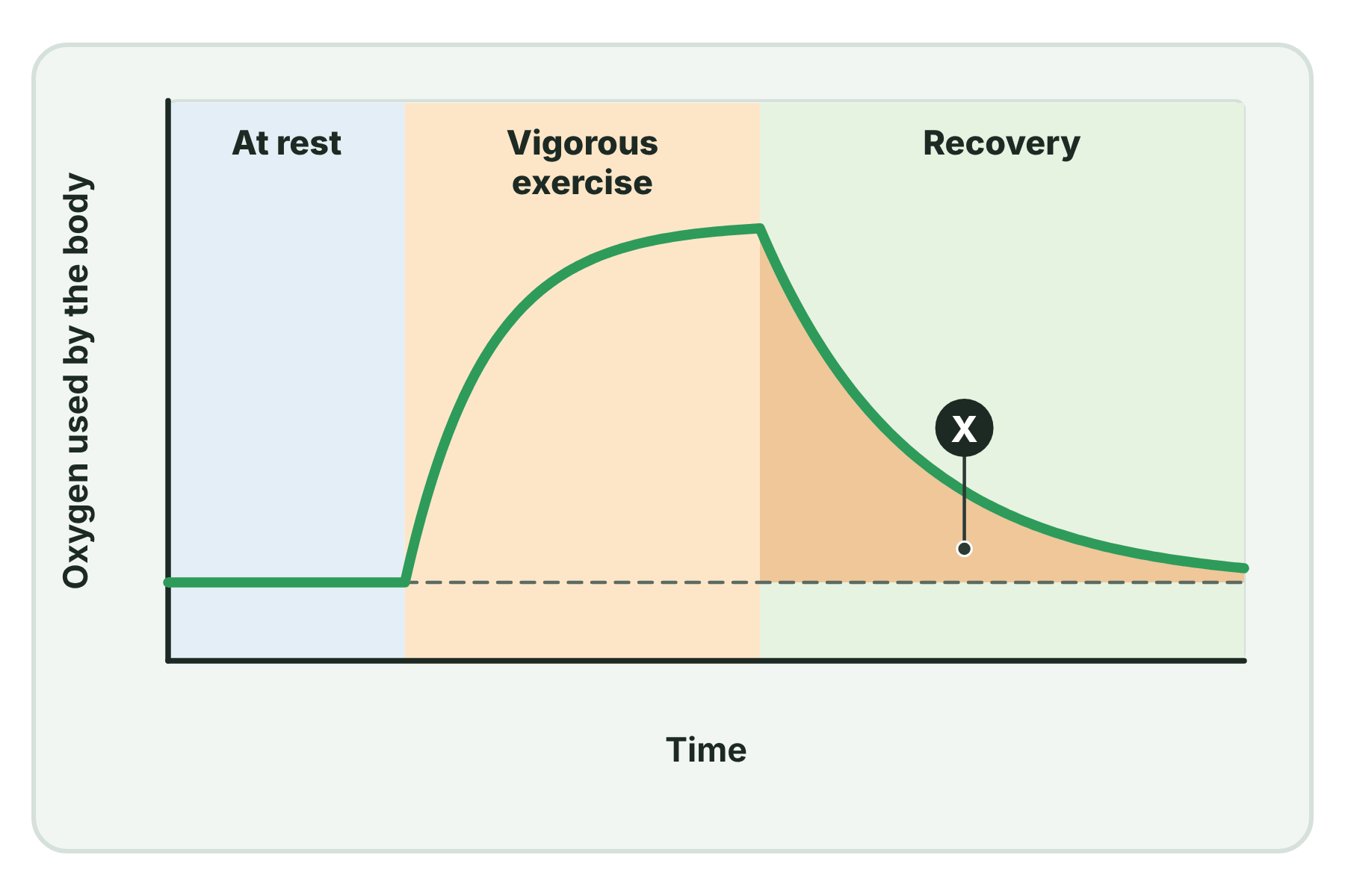 A graph of oxygen used against time with the area after exercise shaded and marked X.