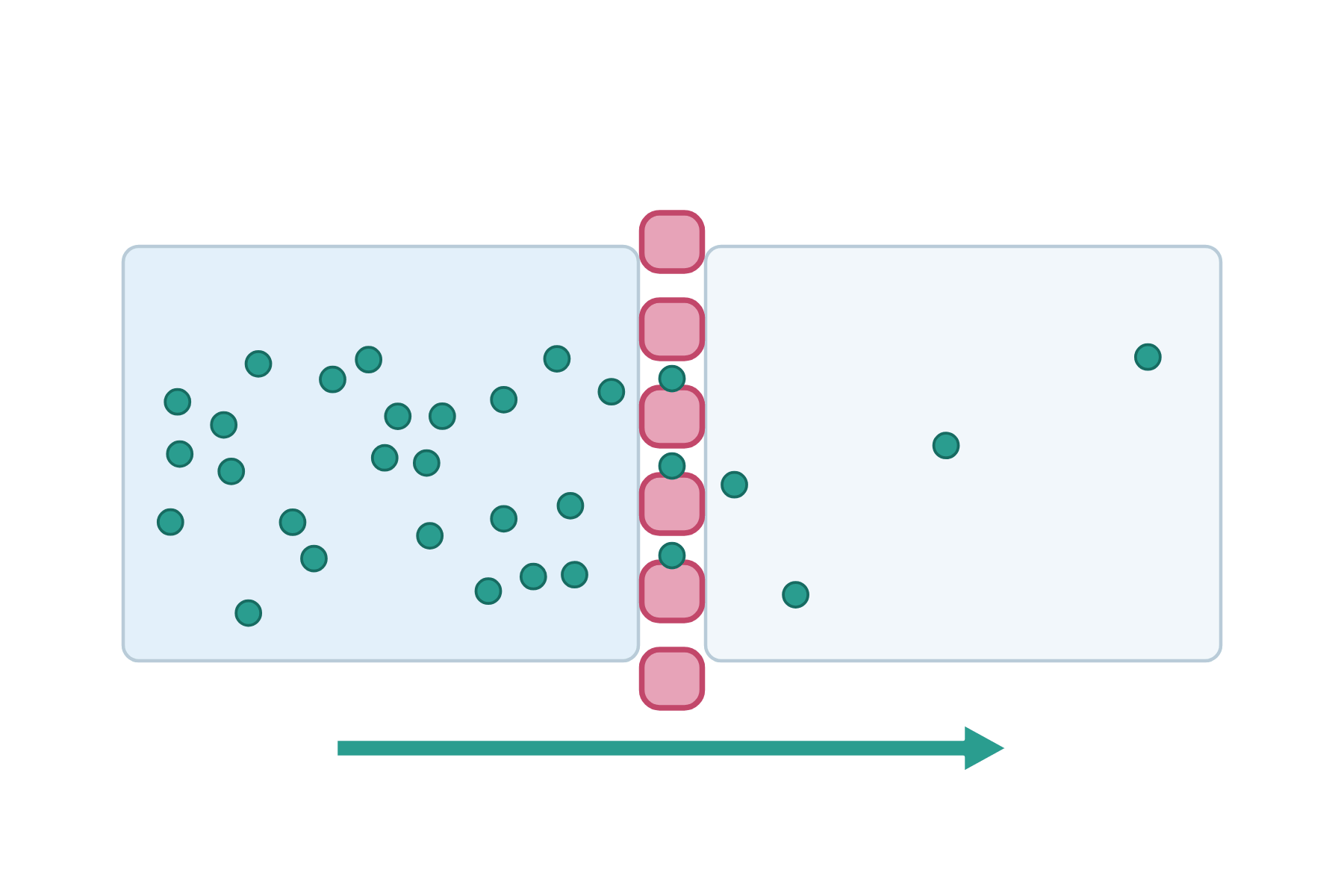 A membrane with many particles on one side and few on the other, with nothing labelled.