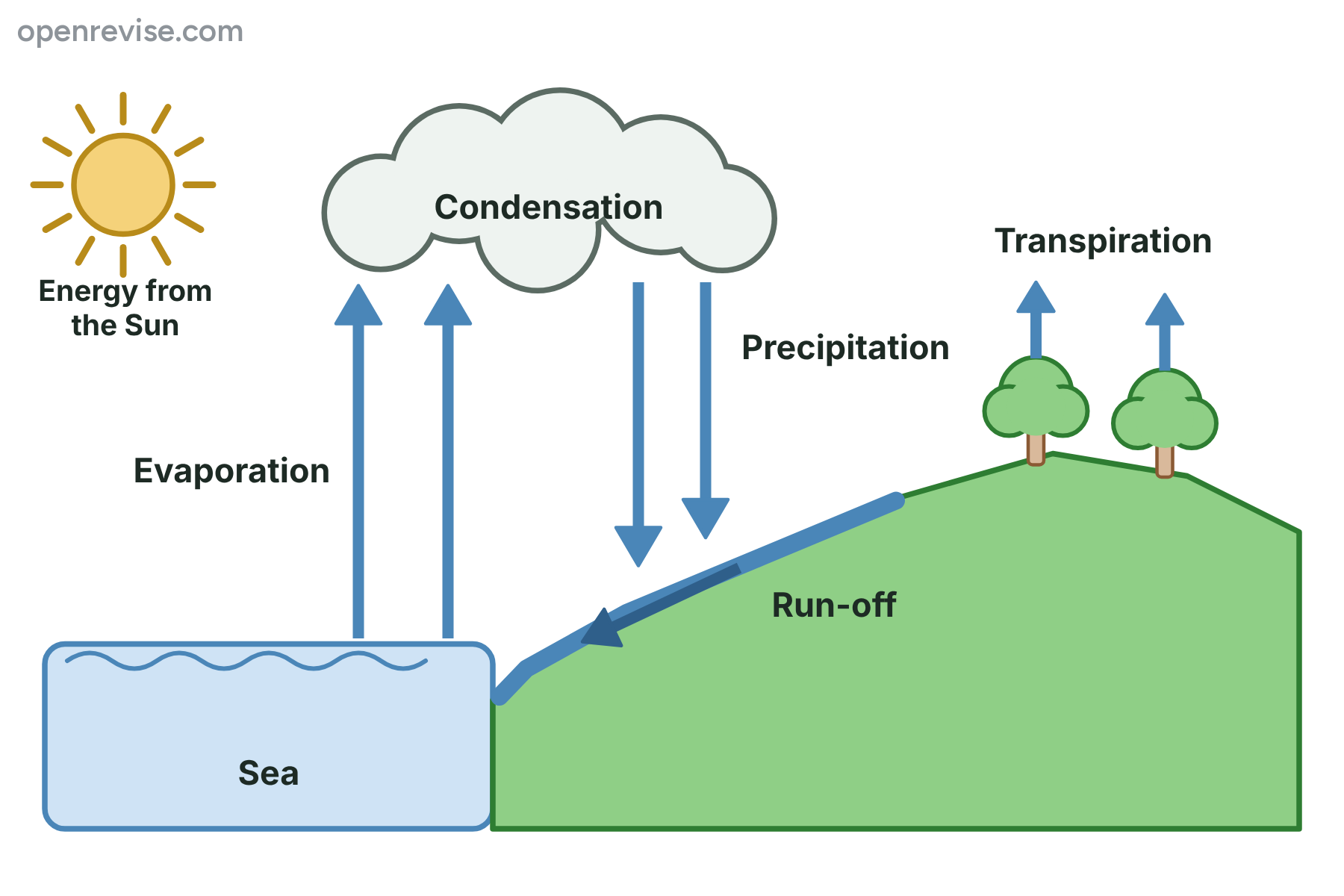 The water cycle, with water evaporating from the sea, condensing into clouds, falling as precipitation, running off the land and being transpired by trees.