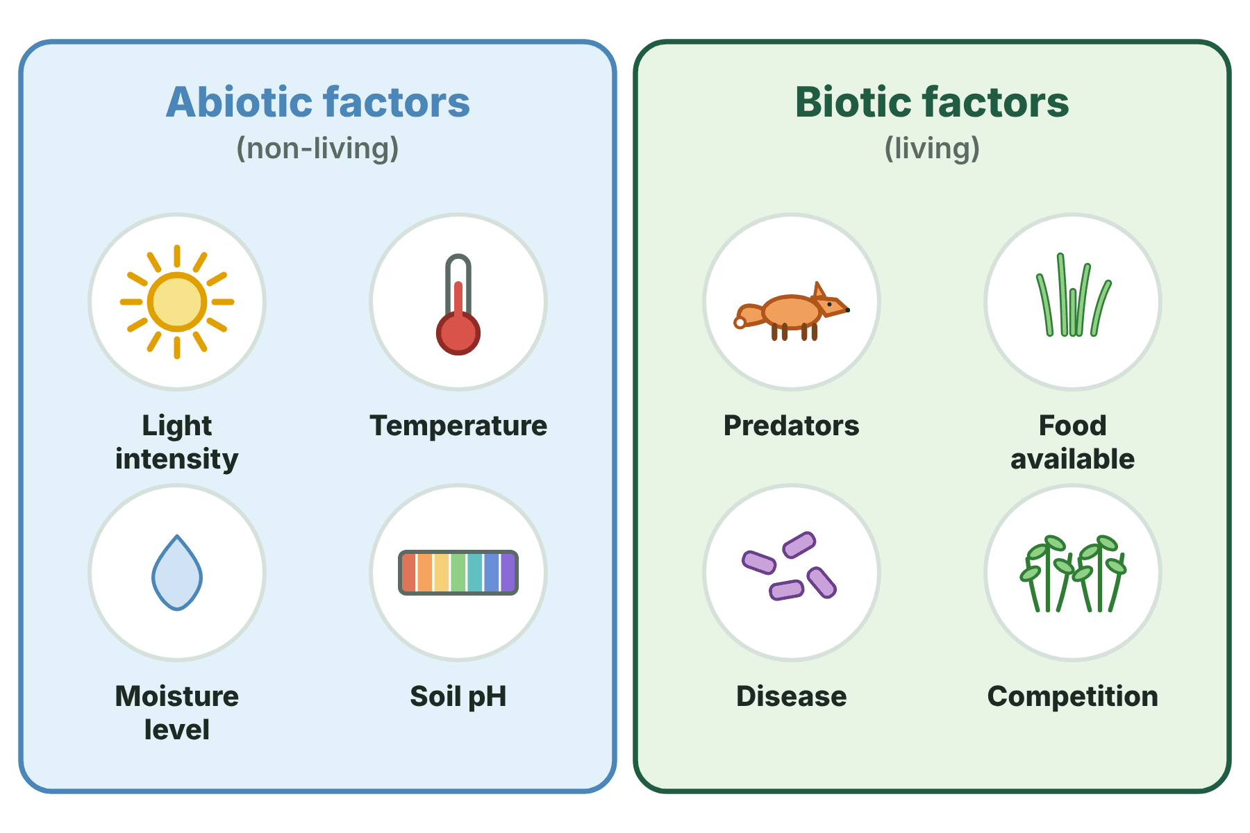 Abiotic factors, light intensity, temperature, moisture level and soil pH, and biotic factors, predators, food availability, disease and competition.
