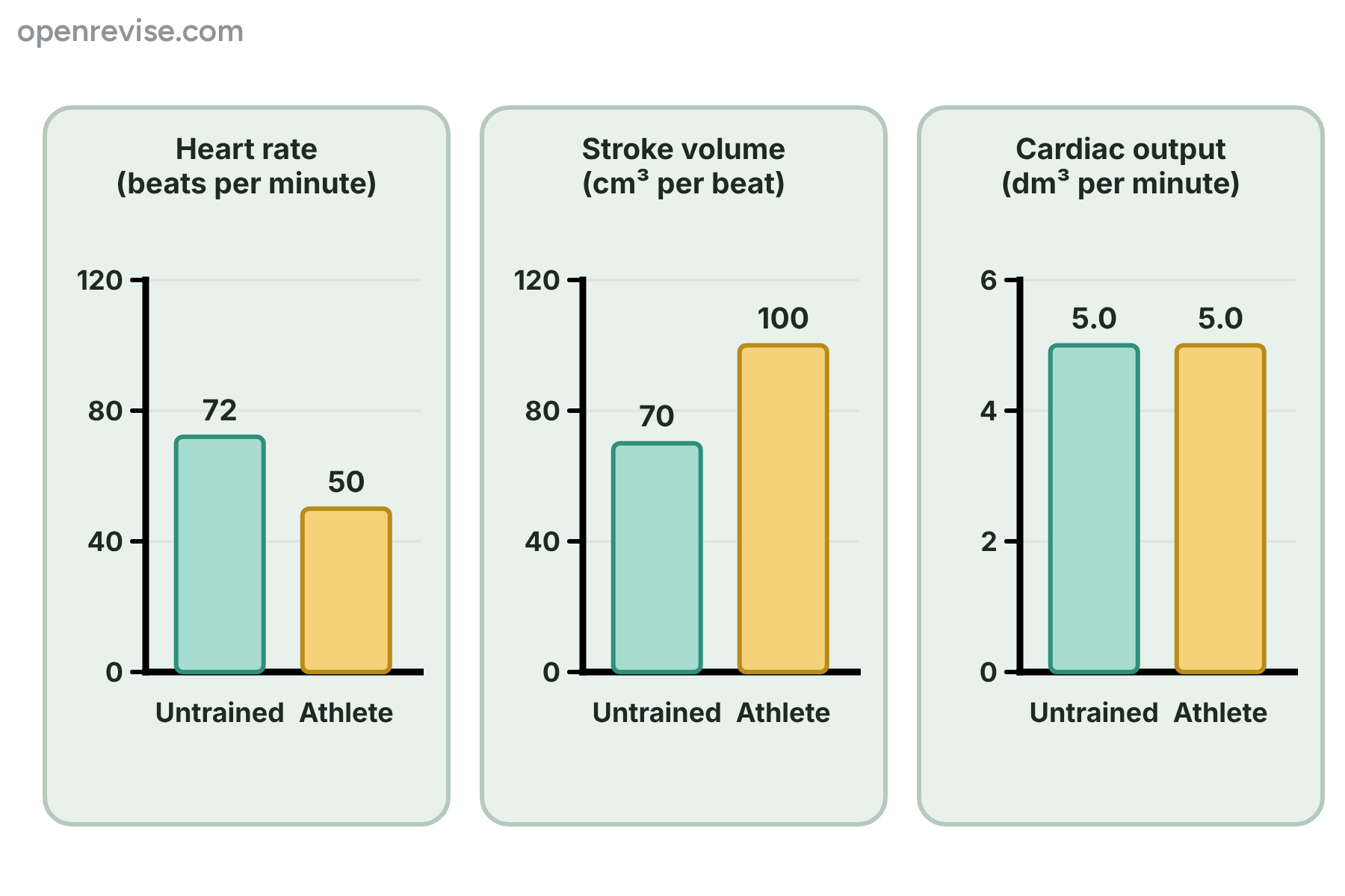 Bar charts comparing an untrained person and an athlete at rest, showing that the athlete has a lower heart rate, a bigger stroke volume and the same cardiac output.
