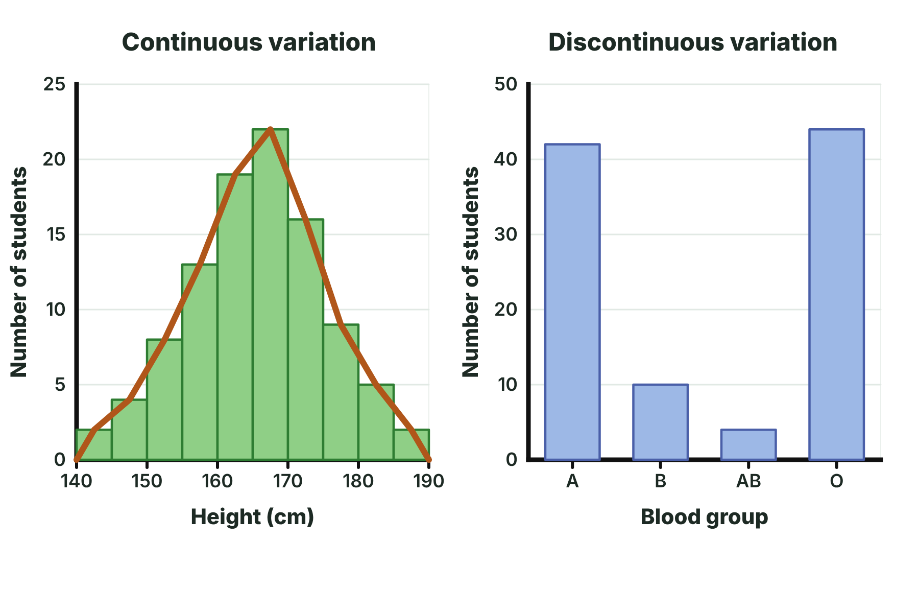 A histogram of heights showing continuous variation and a bar chart of blood groups showing discontinuous variation.
