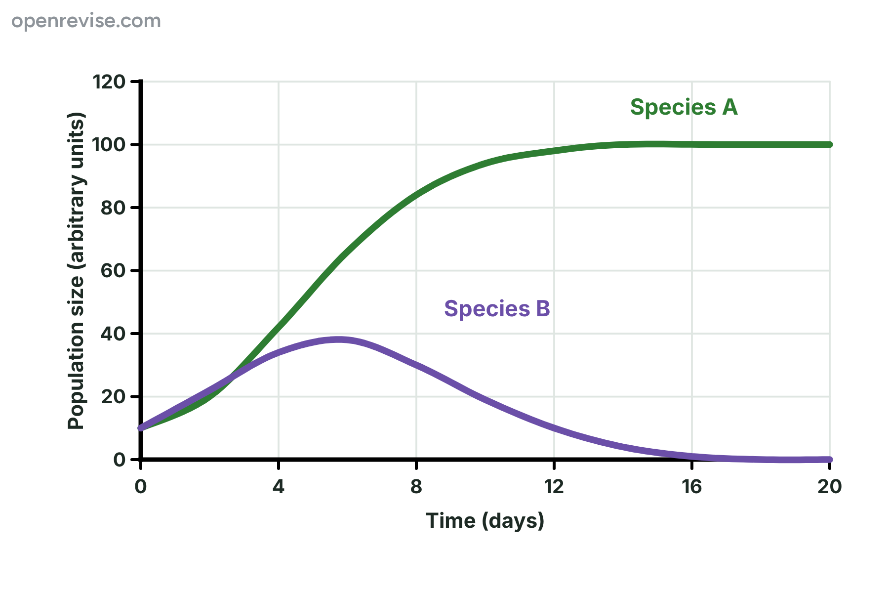 A graph in which species A grows and stays high while species B first rises and then falls to almost zero over 20 days.