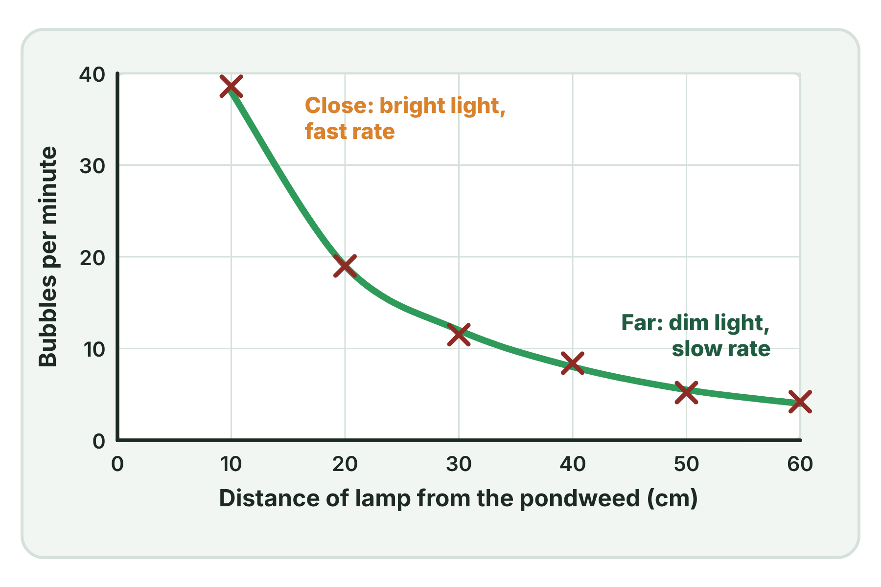 A graph showing that the number of bubbles per minute falls as the distance of the lamp from the pondweed increases.