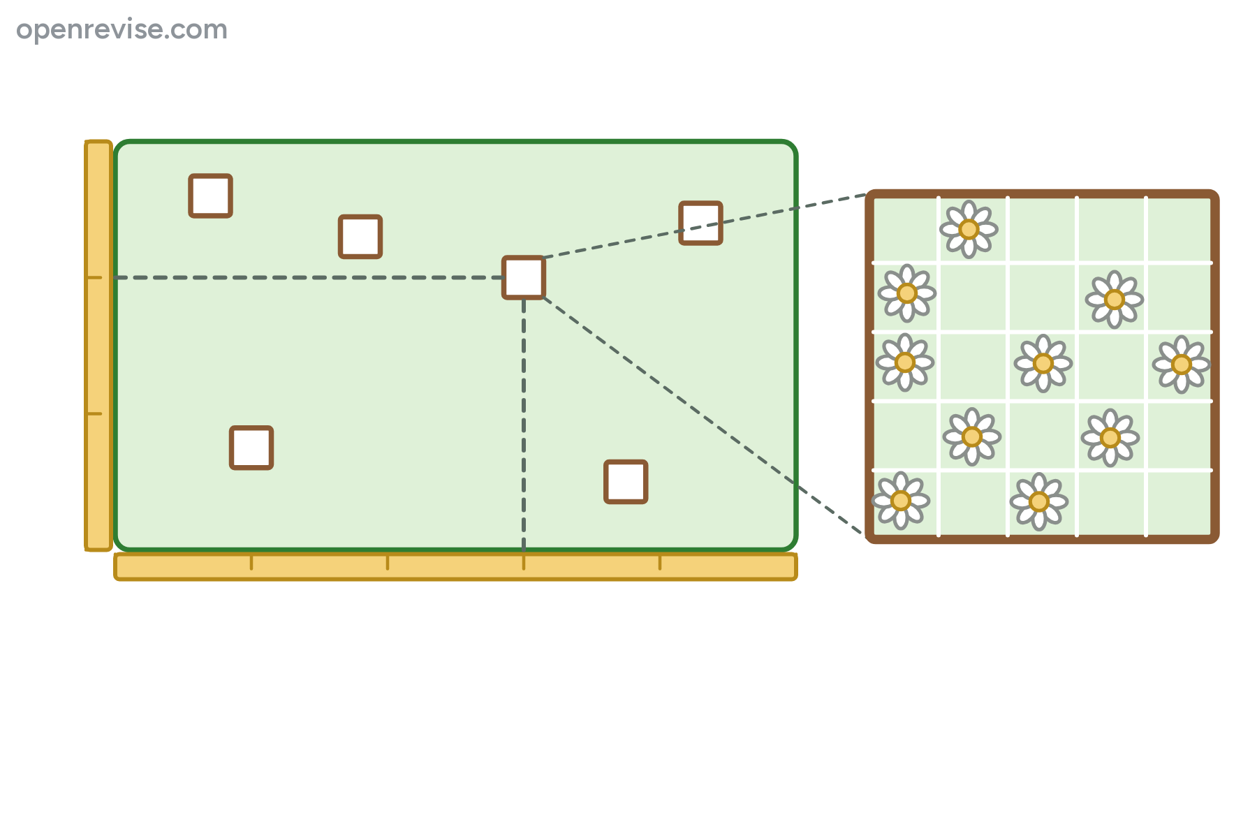 A field with tape measures, quadrats at random positions and an enlarged quadrat of daisies, with no labels.