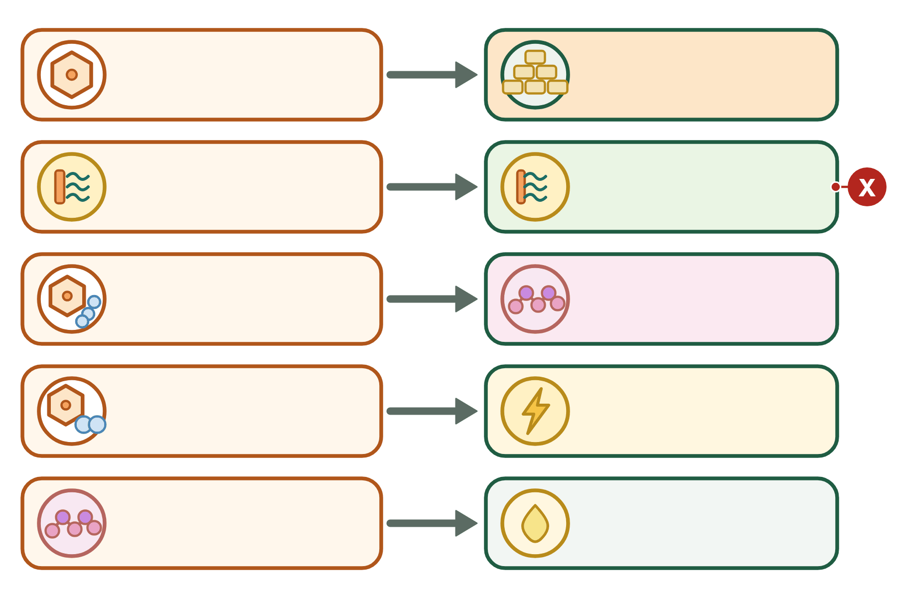 Five reactions of metabolism drawn with icons and a pointer marked X to the lipid.