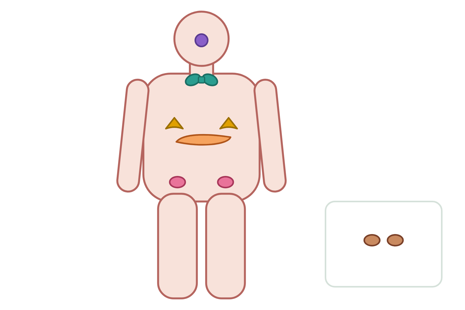 A body with the endocrine glands and no labels.