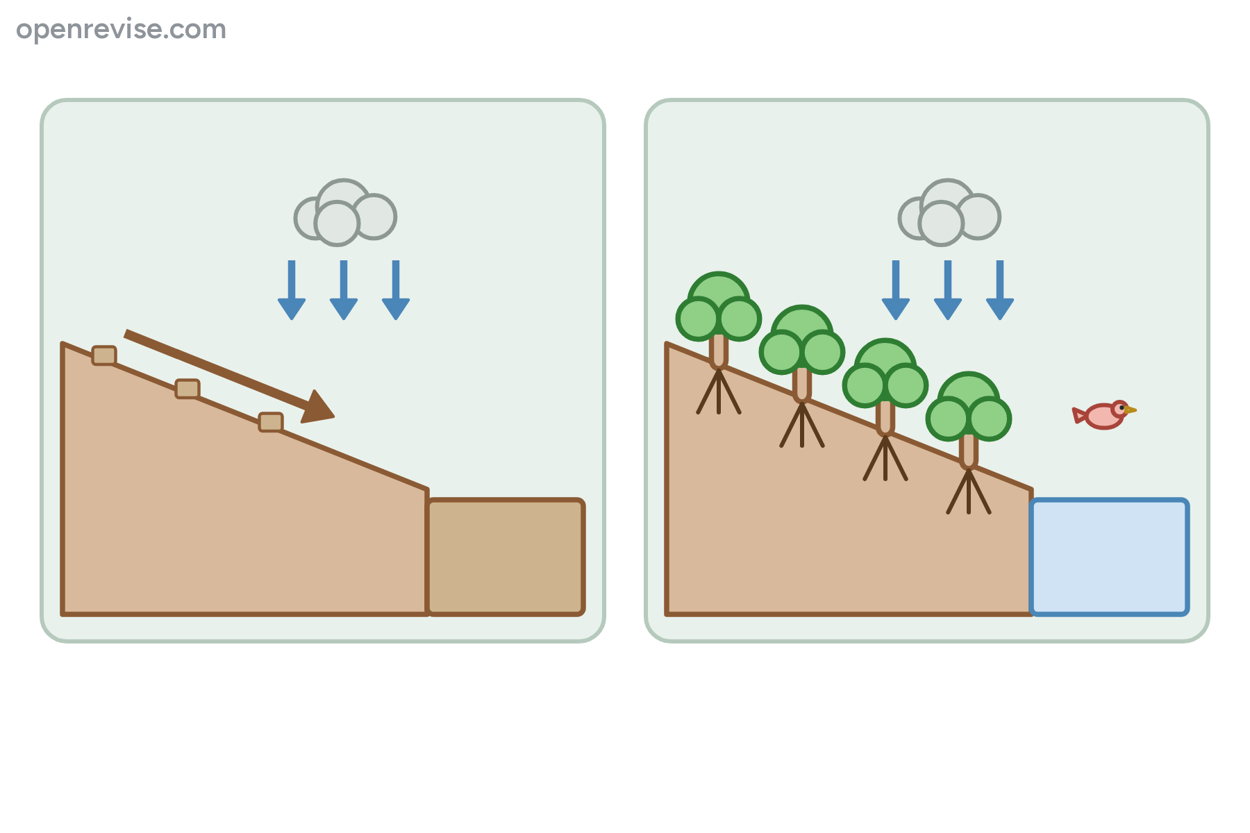 A bare hillside and a hillside with trees, both with rain falling, with no labels.